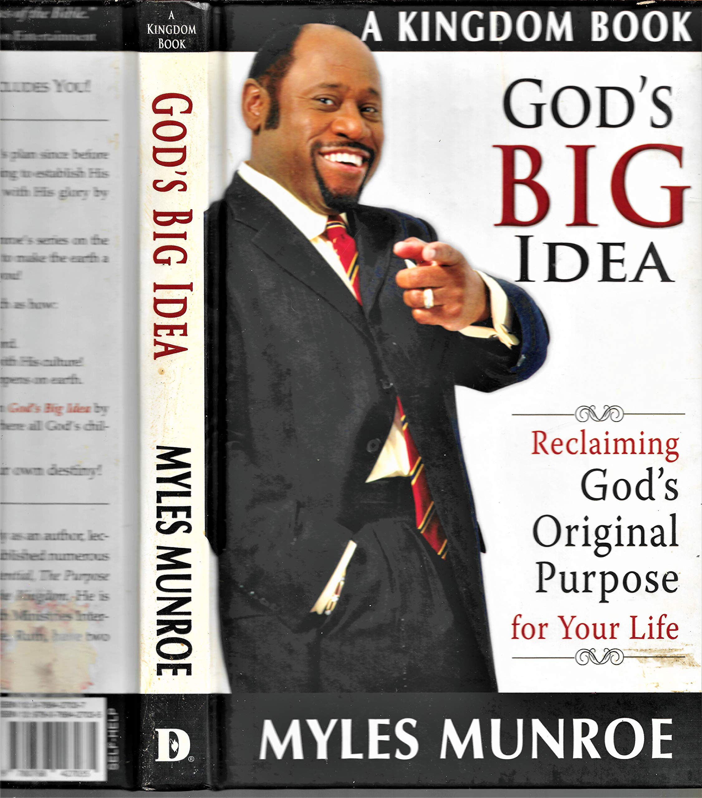God's Big Idea: Reclaiming God's Original Purpose for Your Life (The Kingdom Series) used book depot