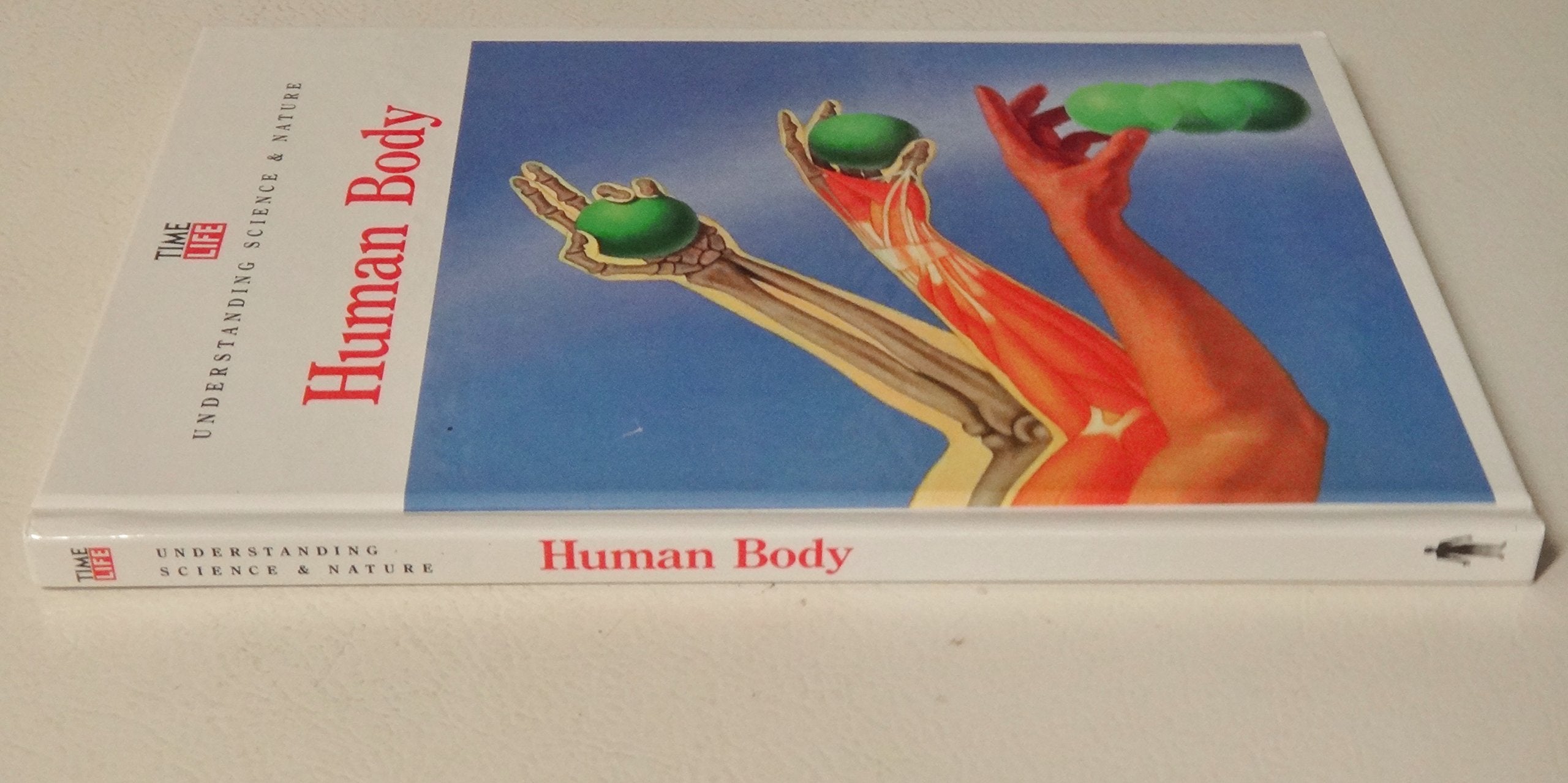 Human Body (Understanding Science and Nature) used book depot