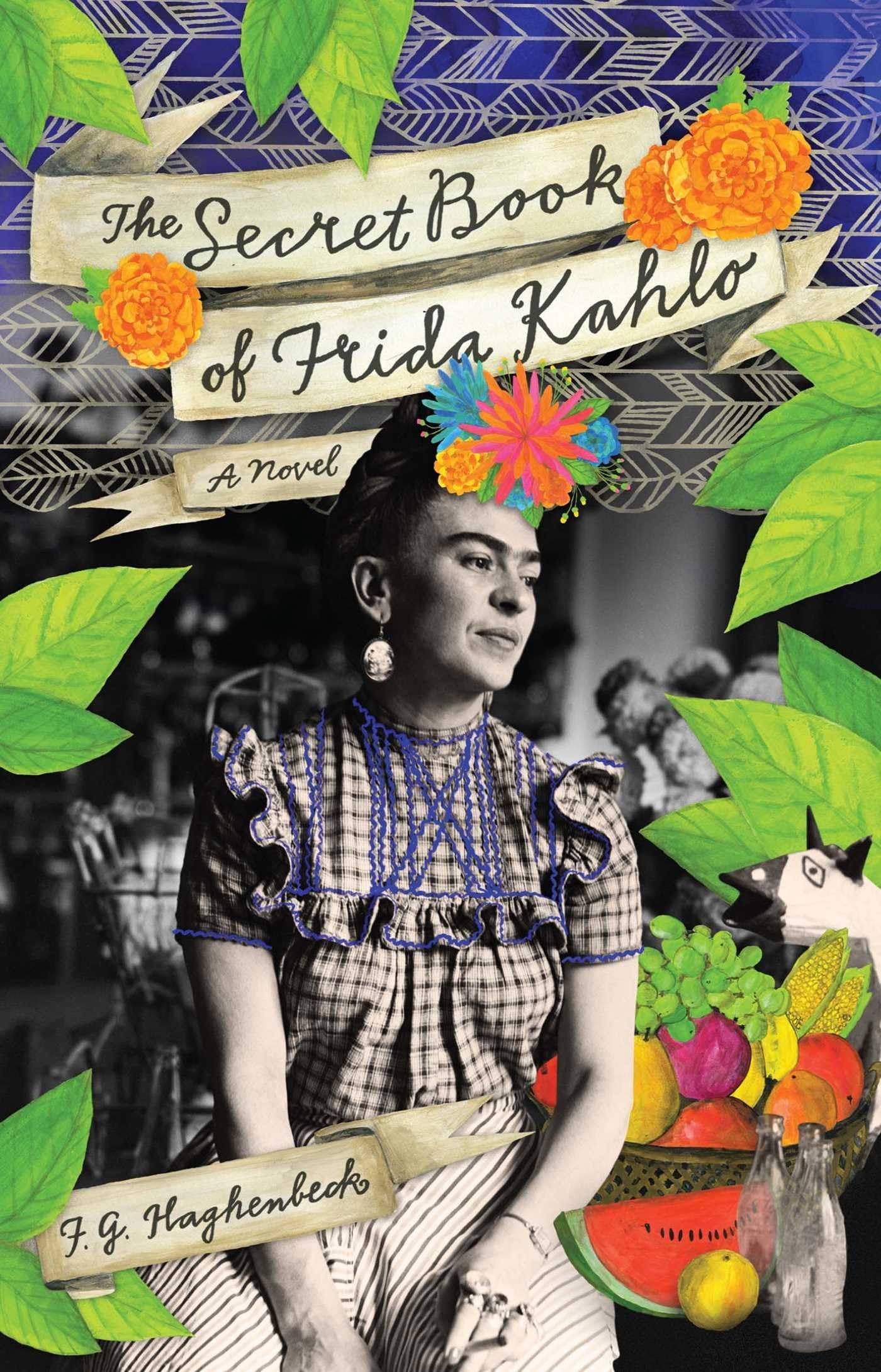 The Secret Book of Frida Kahlo: A Novel used book depot