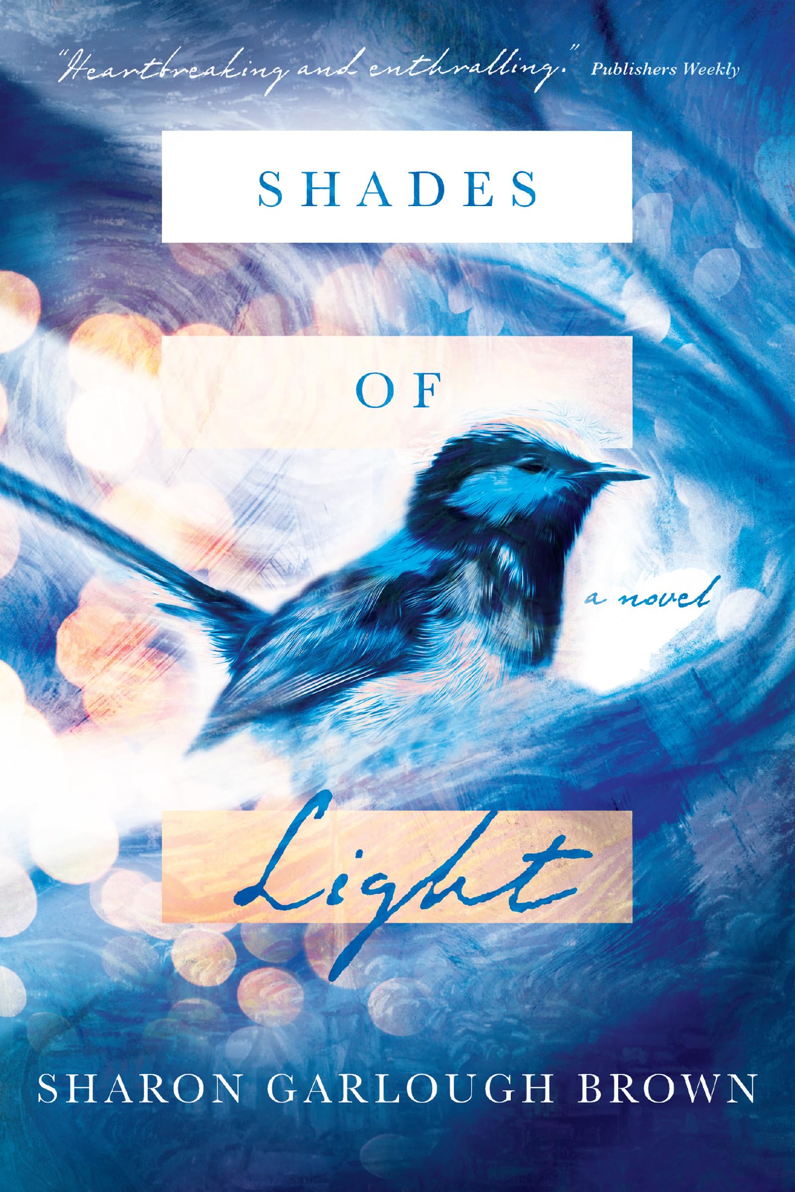Shades of Light: A Novel used book depot