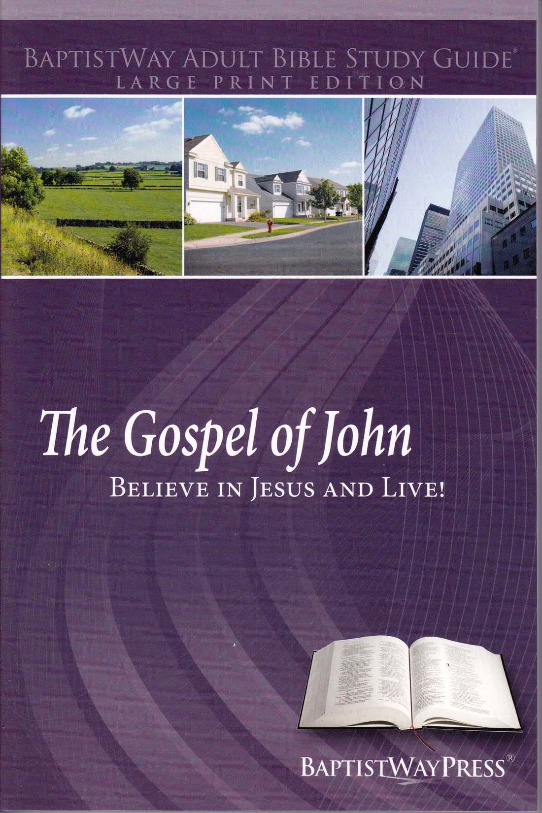 The Gospel of John: Believe In Jesus and Live! Large Print used book depot