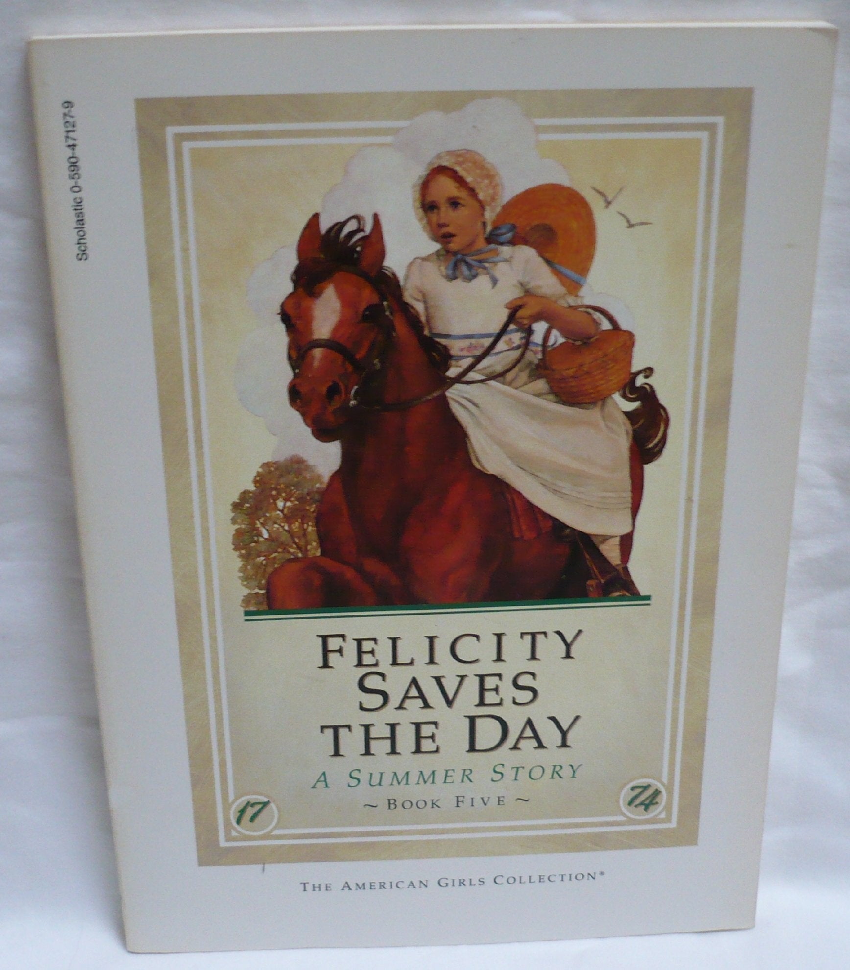 Felicity Saves the Day used book depot