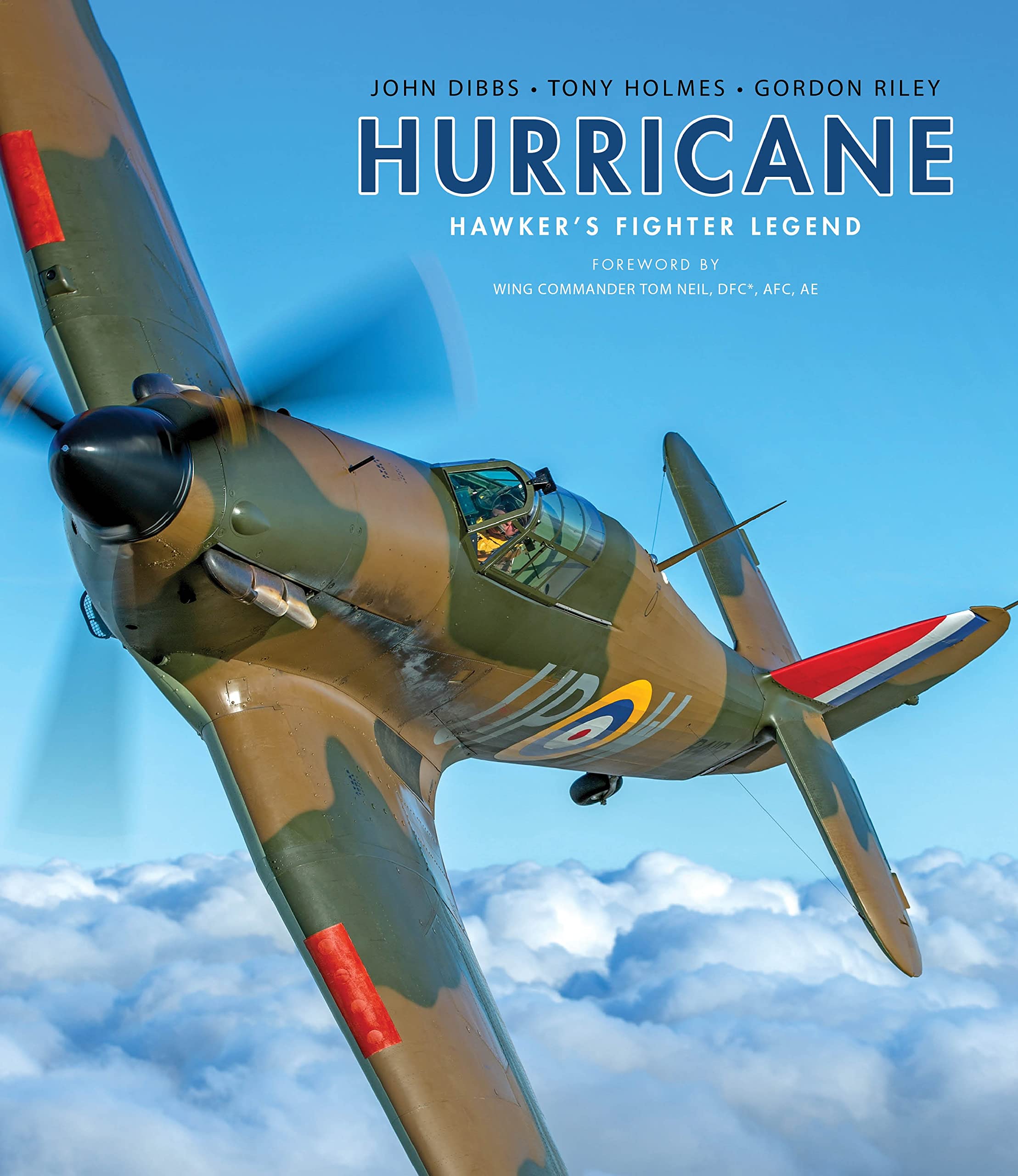Hurricane: Hawker's Fighter Legend used book depot