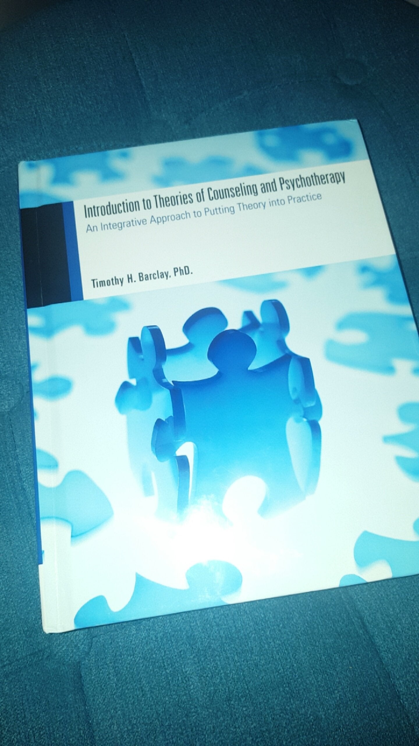 Introduction to Theories of Counseling and Psychotherapy: An Integrative Approach to Putting Theory into Practice used book depot