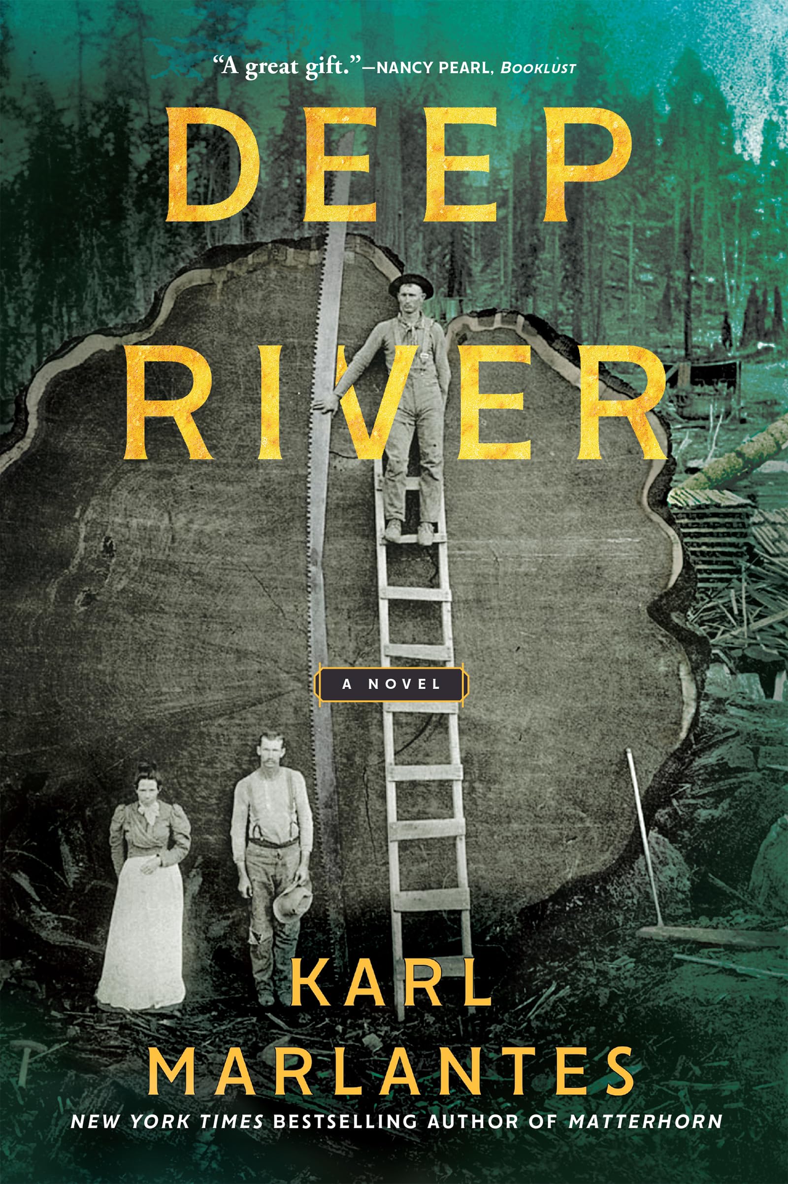 Deep River: A Novel used book depot