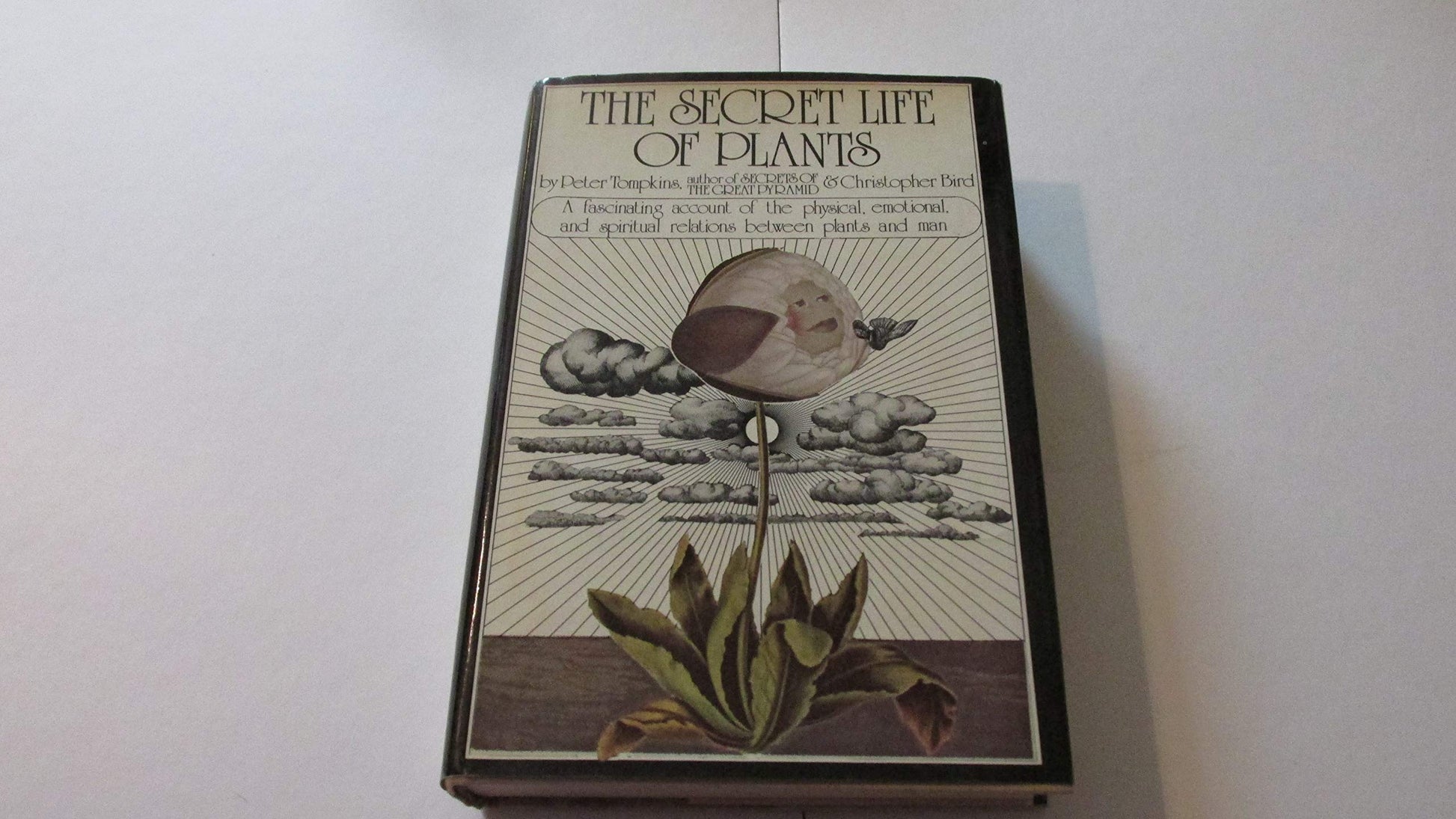 The Secret Life of Plants used book depot