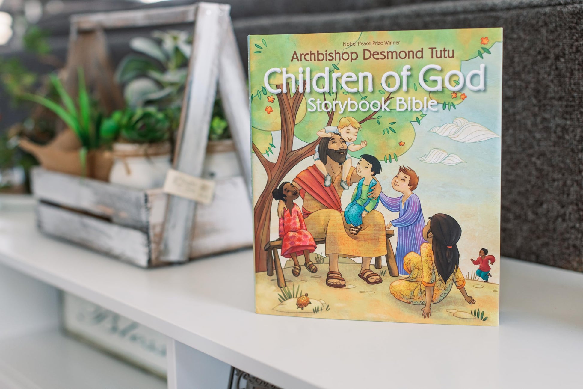 Children of God Storybook Bible used book depot