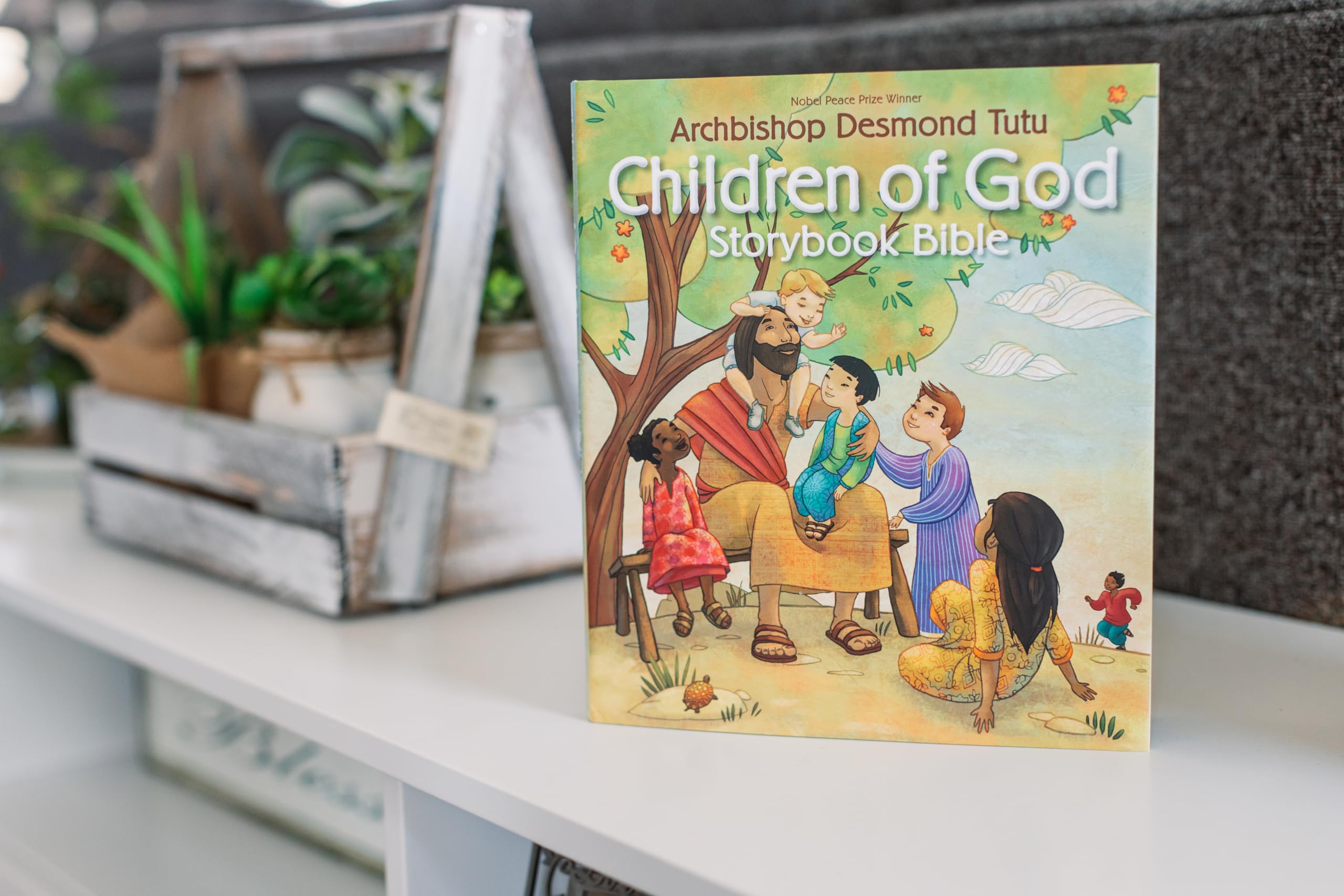 Children of God Storybook Bible used book depot