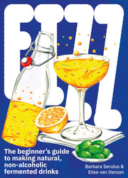 FIZZ: A Beginners Guide to Making Natural, Non-Alcoholic Fermented Drinks used book depot