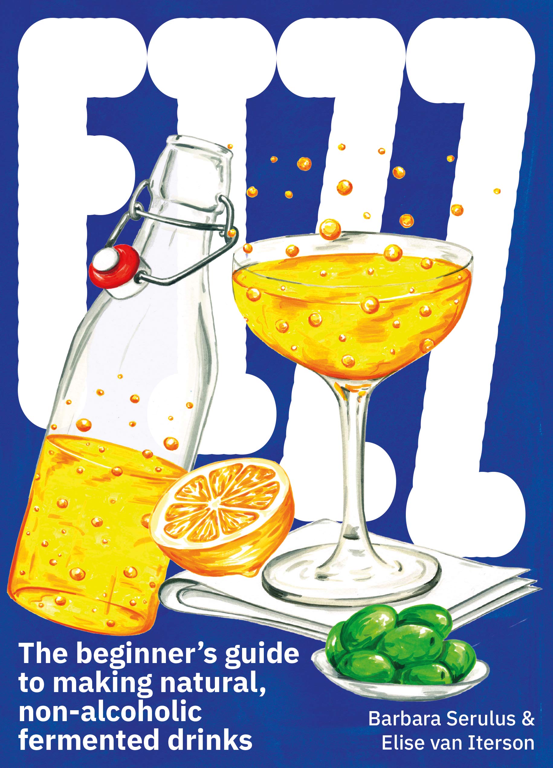 FIZZ: A Beginners Guide to Making Natural, Non-Alcoholic Fermented Drinks used book depot