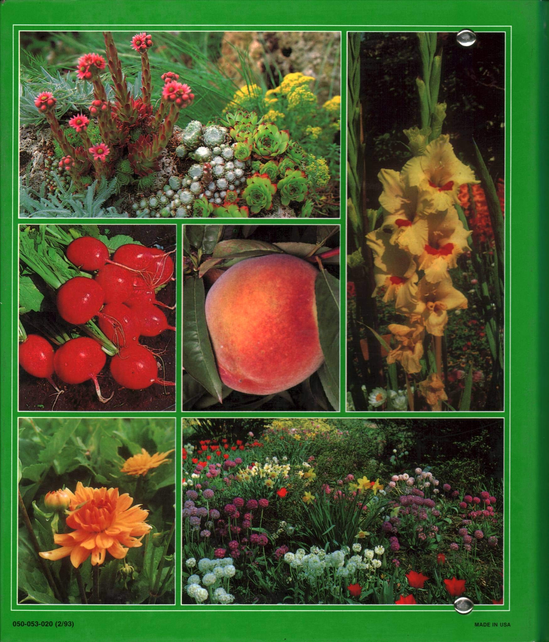 Successful Gardening a Complete Step-by-step Gardening Handbook (4 volumes, 16 categories) used book depot