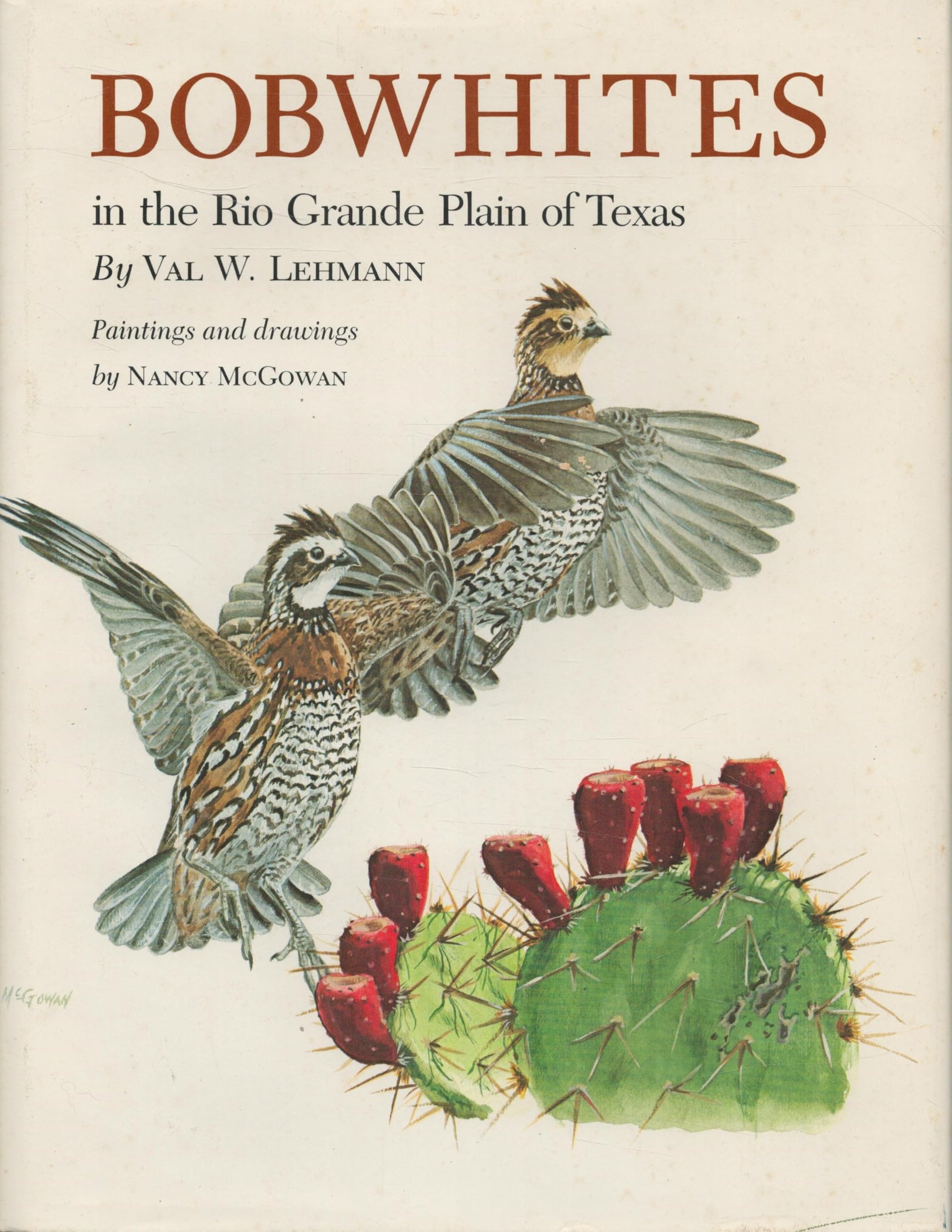 Bobwhites in the Rio Grande Plain of Texas used book depot