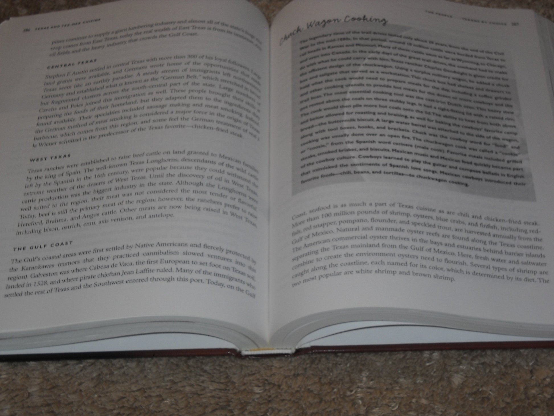 American Regional Cuisine used book depot