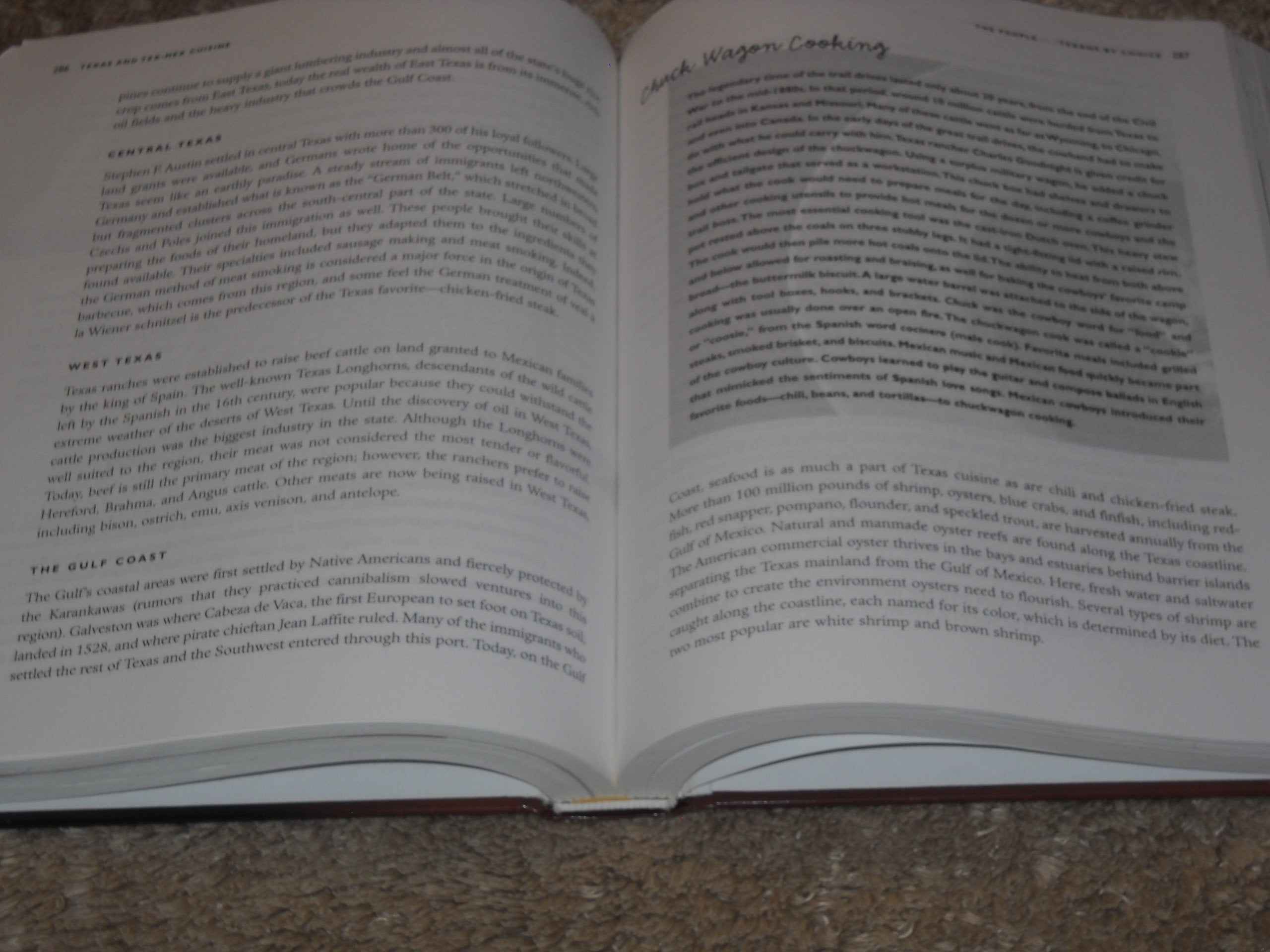 American Regional Cuisine used book depot