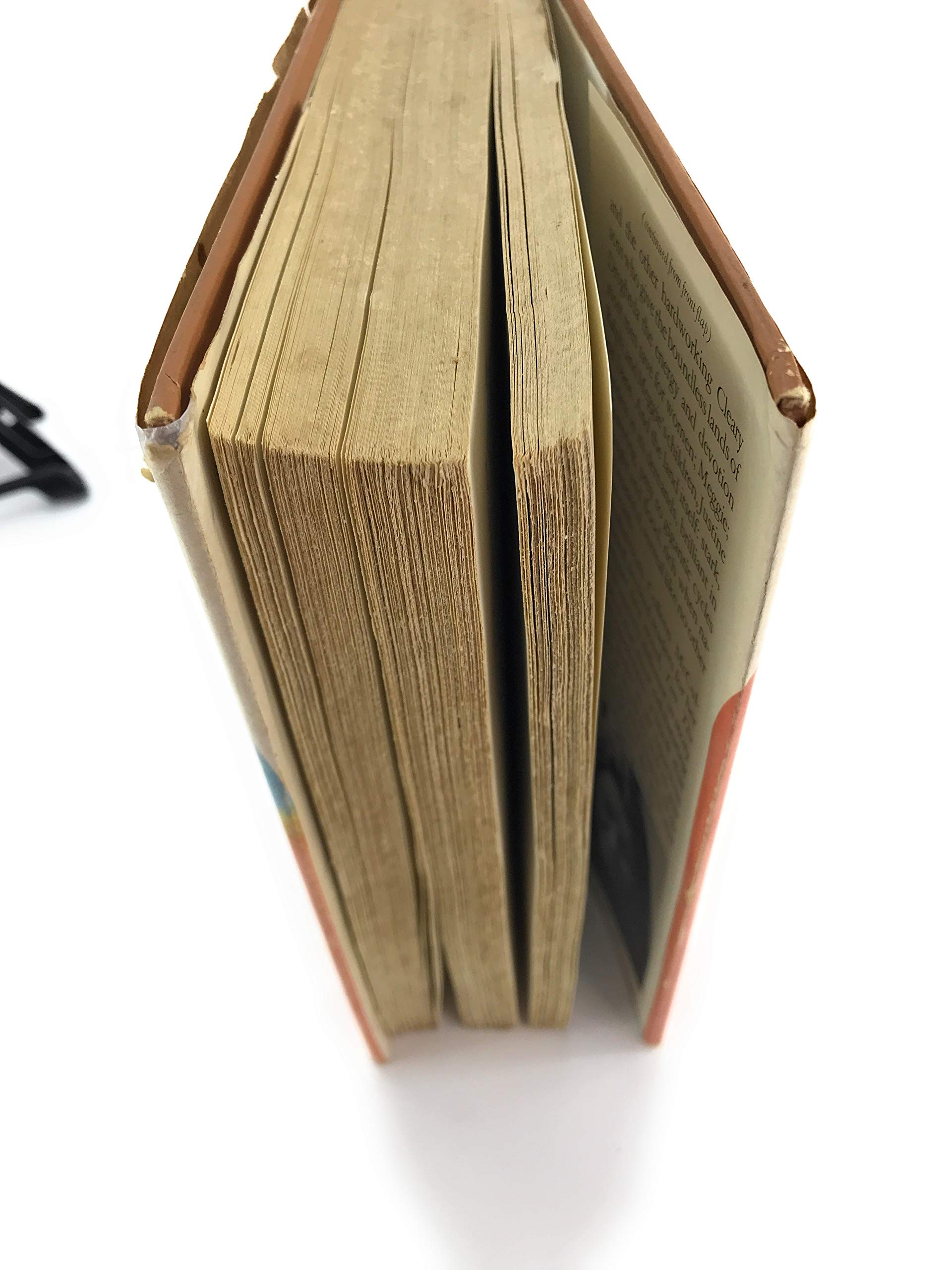 Thornbirds- Book Club Edition used book depot