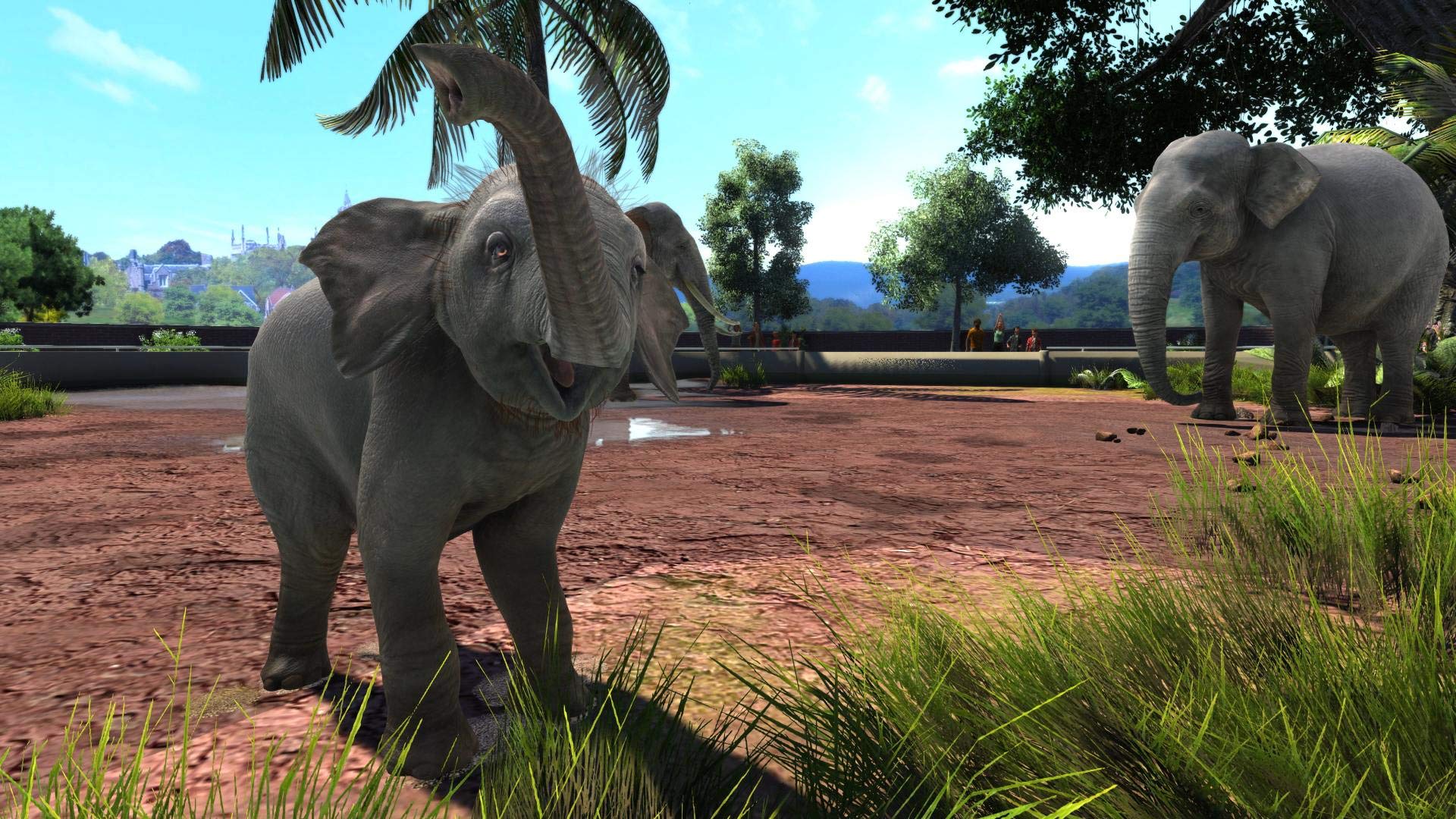 Zoo Tycoon: Ultimate Animal Collection - PC used book depot