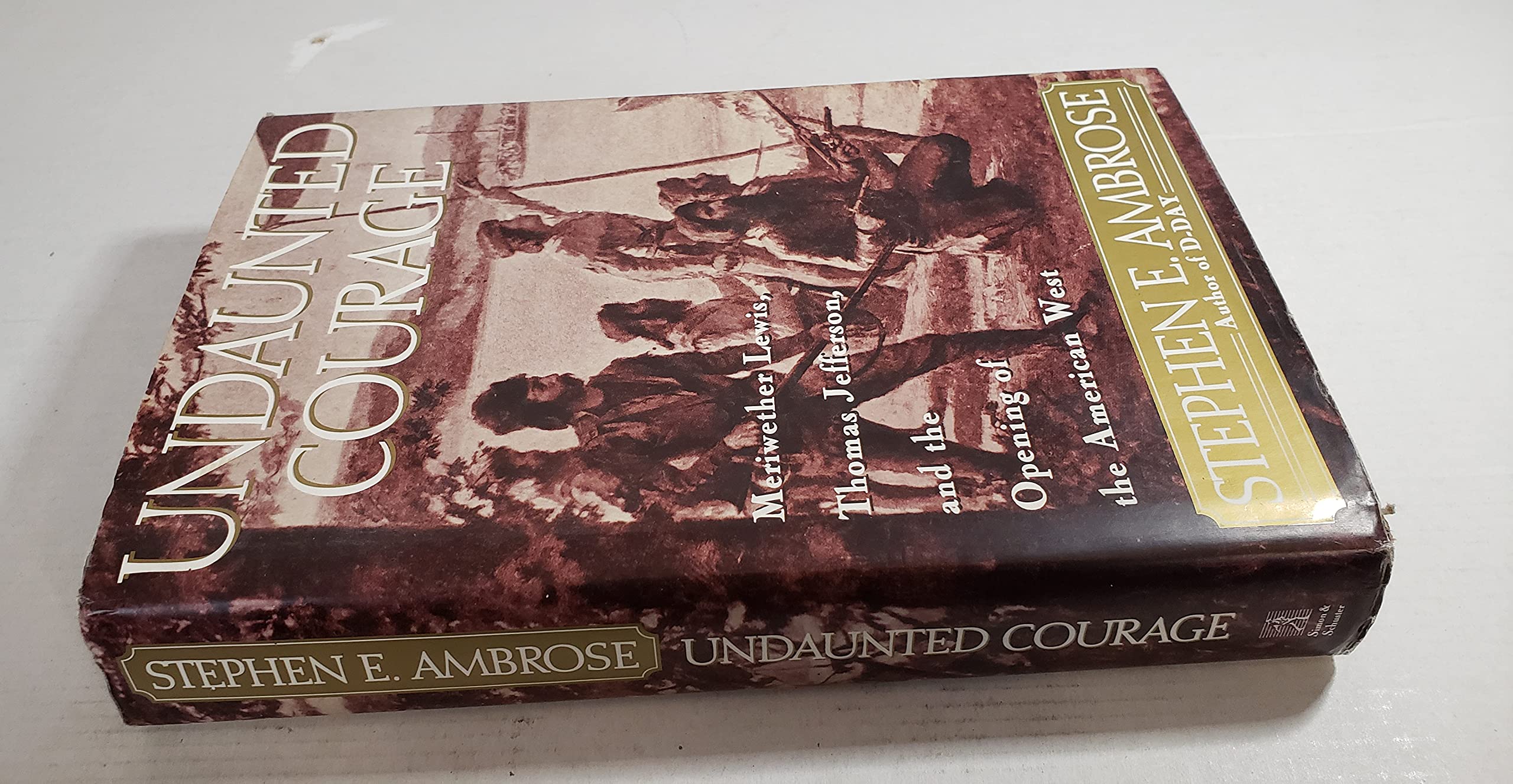 Undaunted Courage: Meriwether Lewis, Thomas Jefferson and the Opening of the American West used book depot