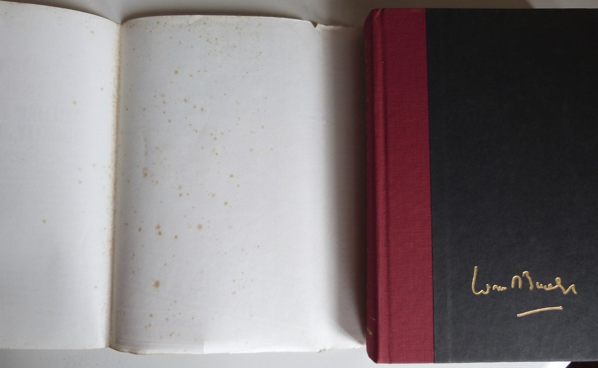 See You Later, Alligator: Blackford Oakes in Havana used book depot