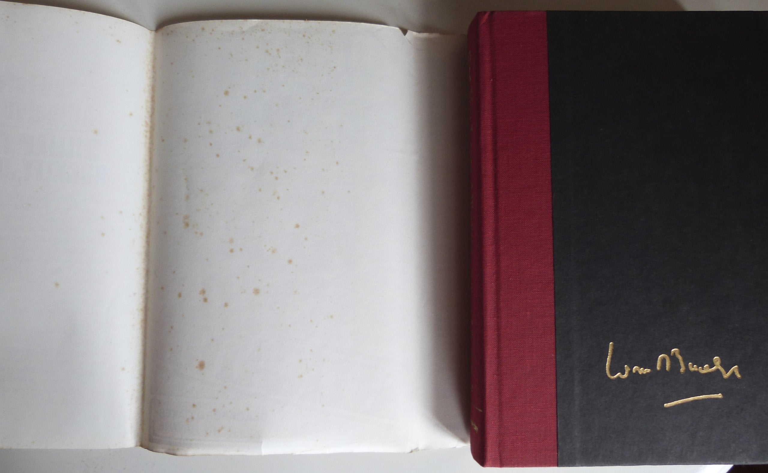 See You Later, Alligator: Blackford Oakes in Havana used book depot