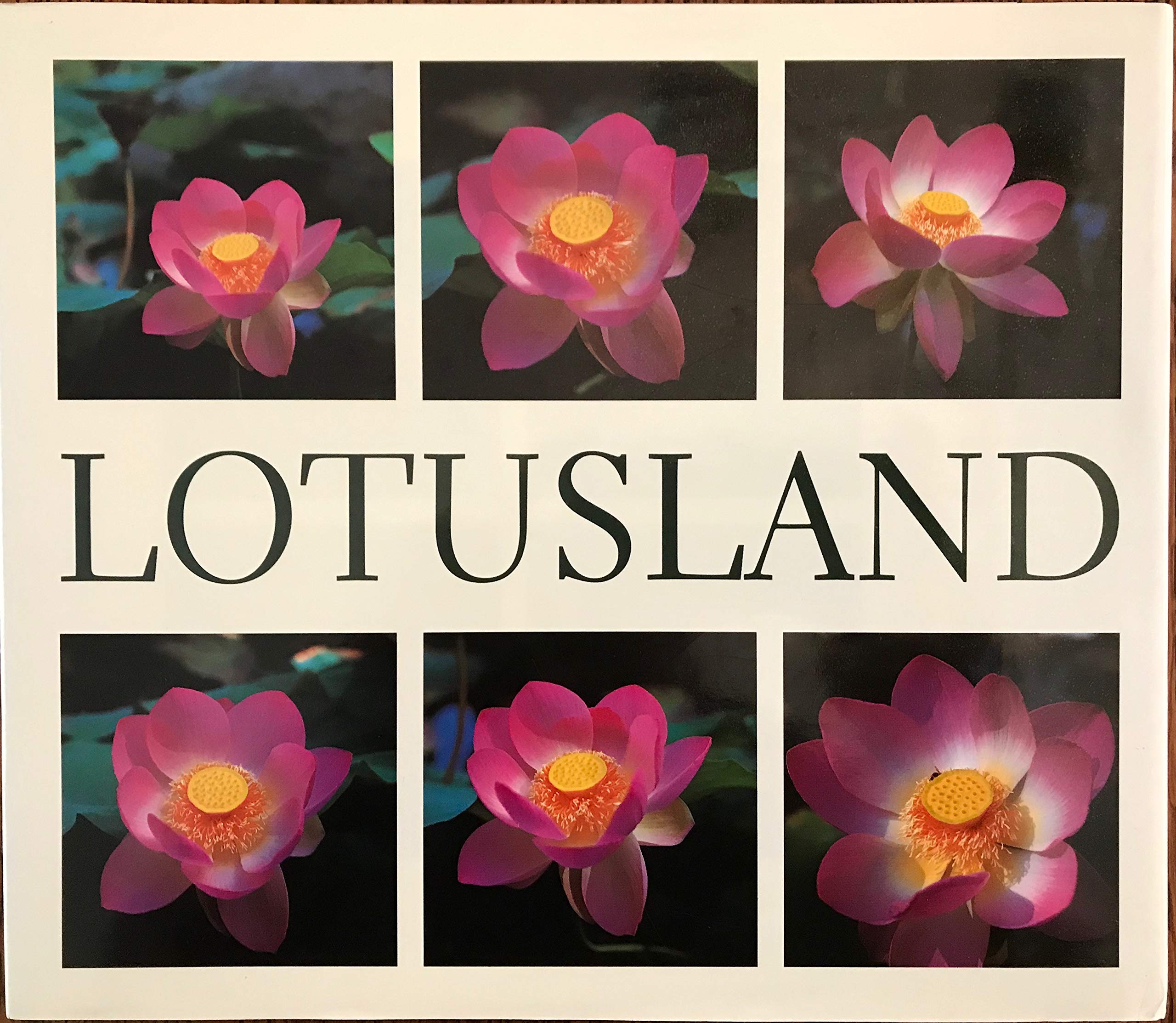 Lotusland: A Photographic Odyssey