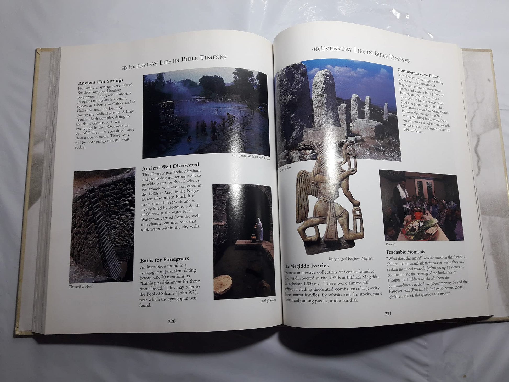 Fascinating Bible Facts used book depot