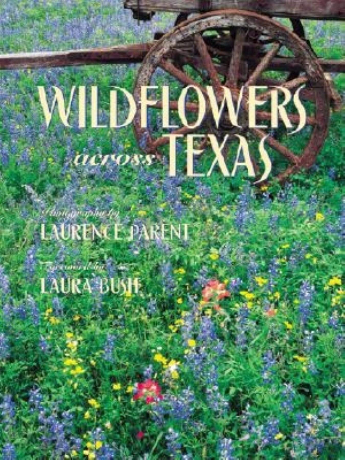 Wildflowers Across Texas used book depot