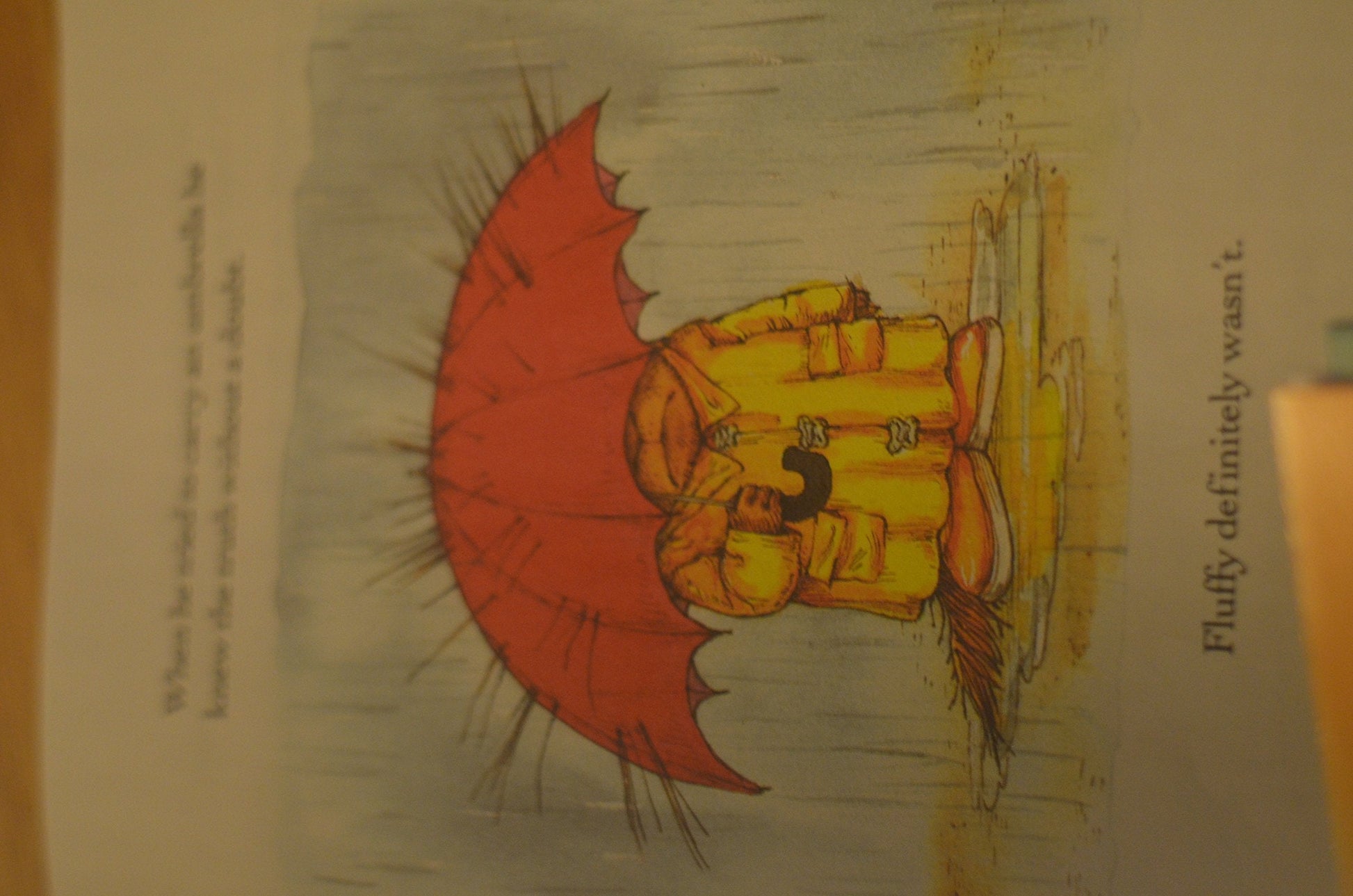 A Porcupine Named Fluffy used book depot
