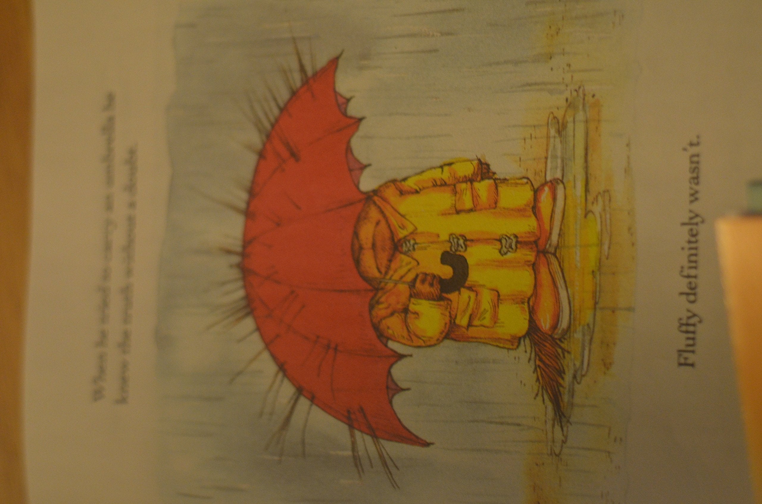 A Porcupine Named Fluffy used book depot