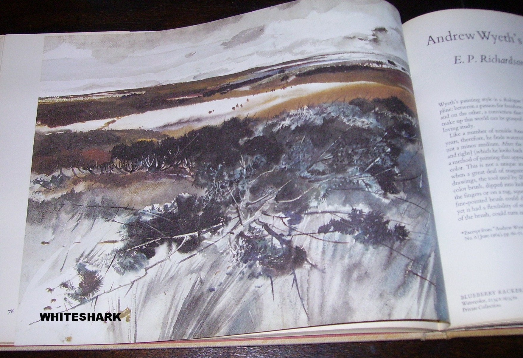 The art of Andrew Wyeth