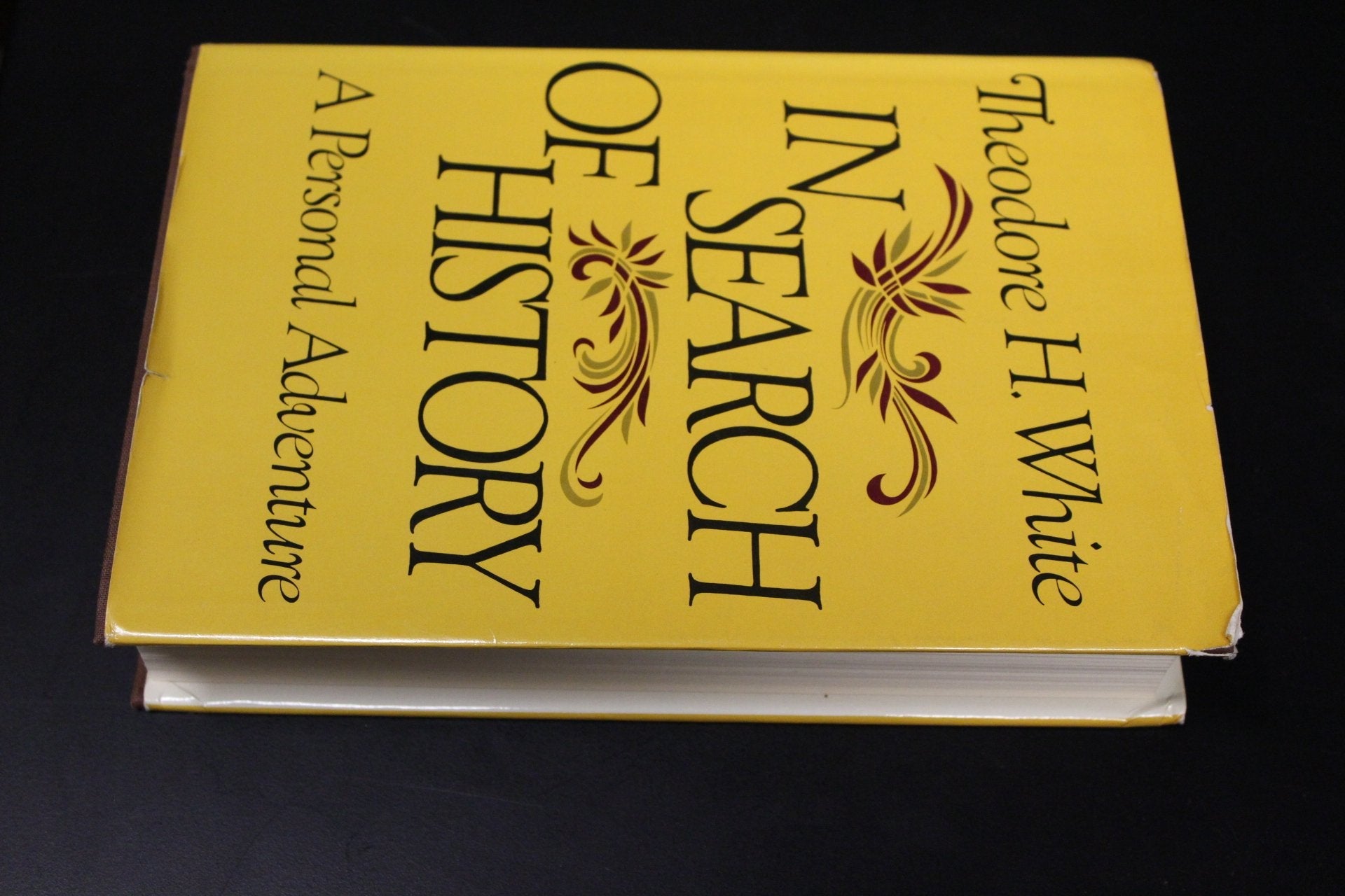 In Search of History: A Personal Adventure used book depot