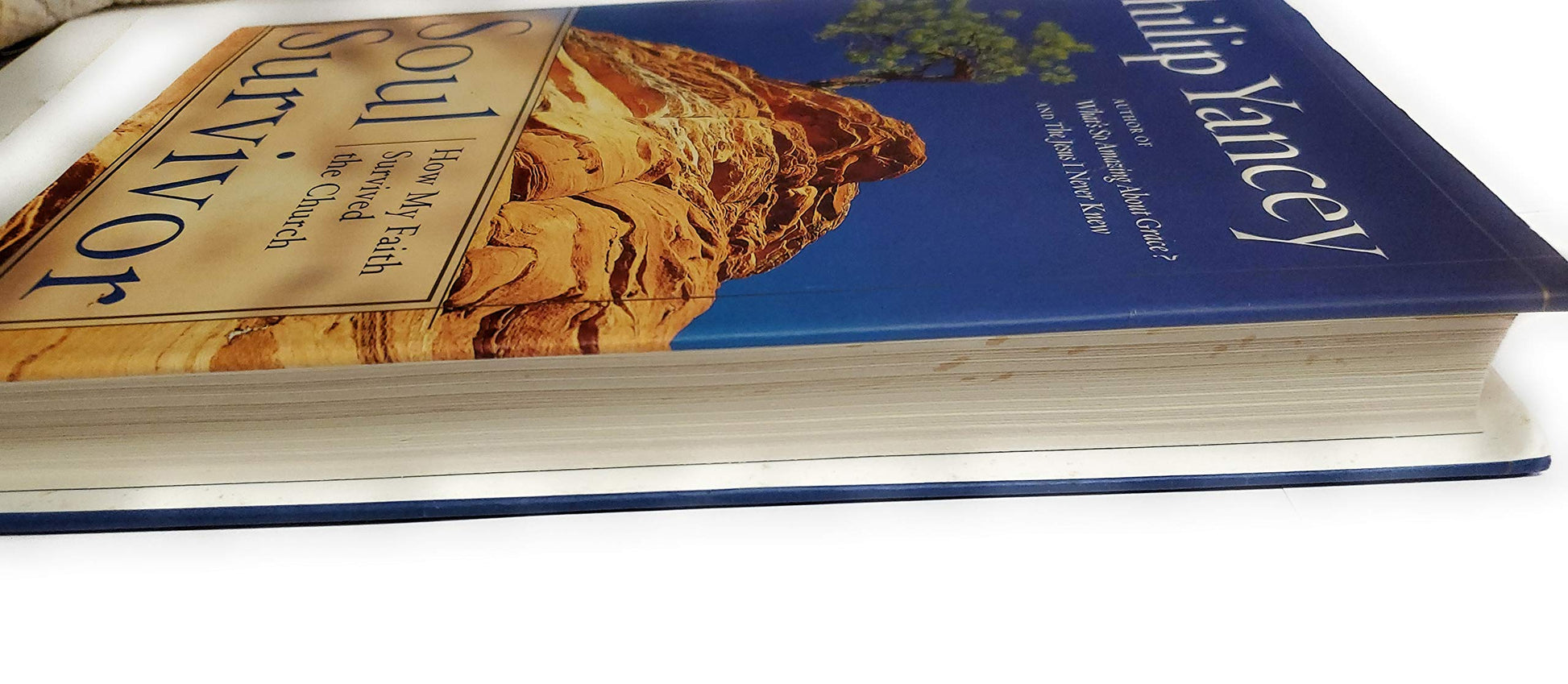 Soul Survivor: Why I am Still a Christian used book depot