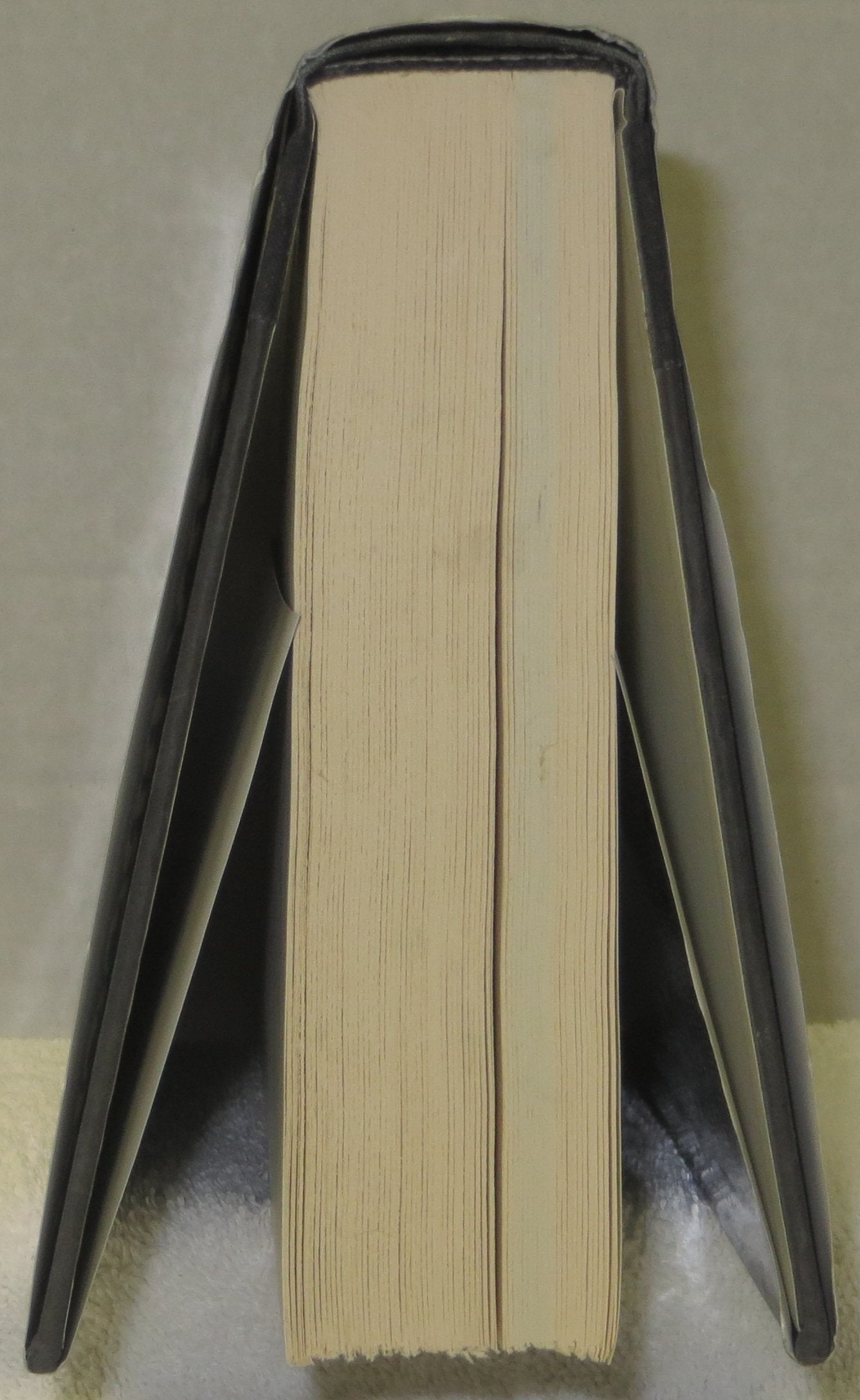 The Scions of Shannara (The Heritage of Shannara #1) used book depot