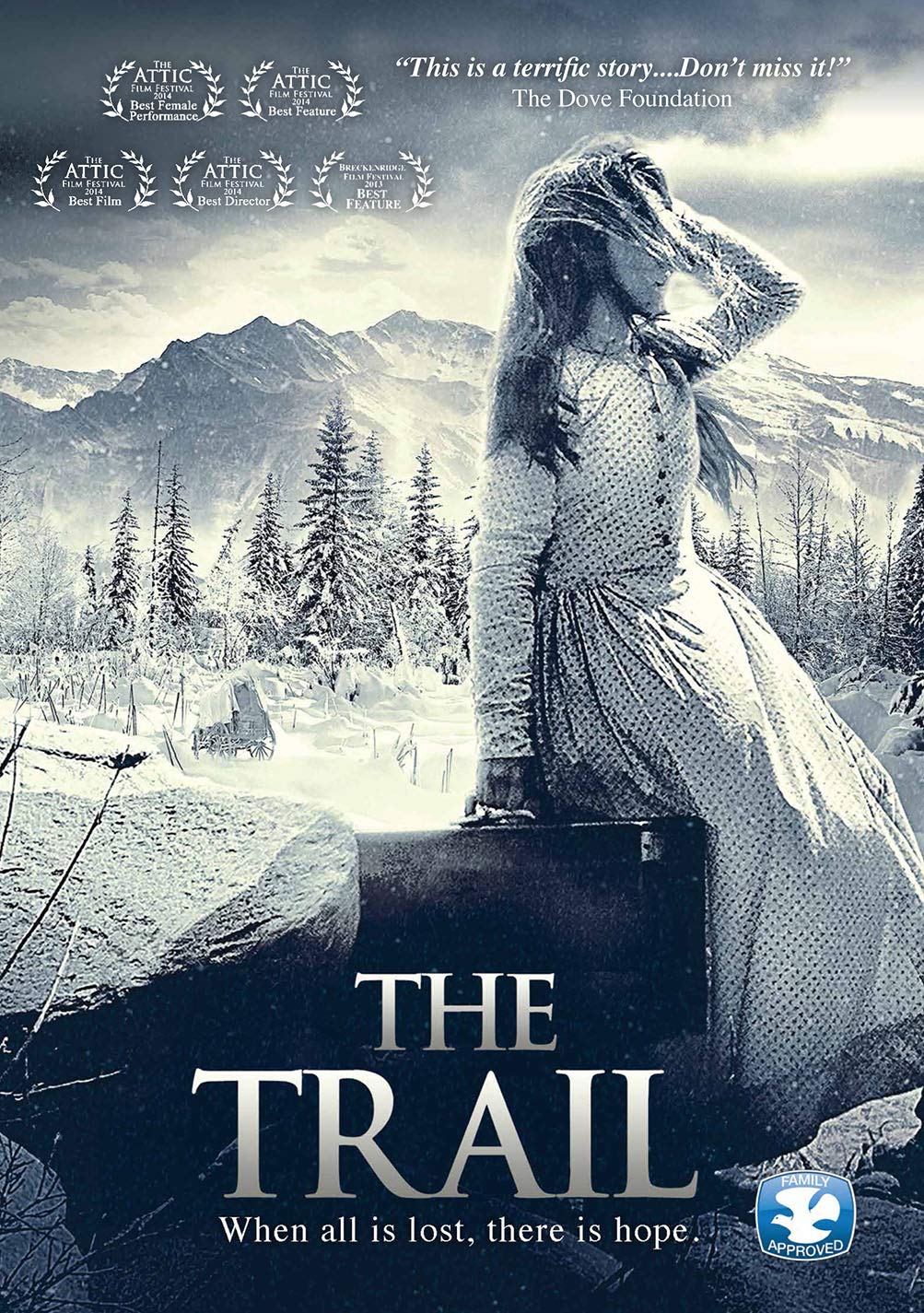 The Trail used book depot