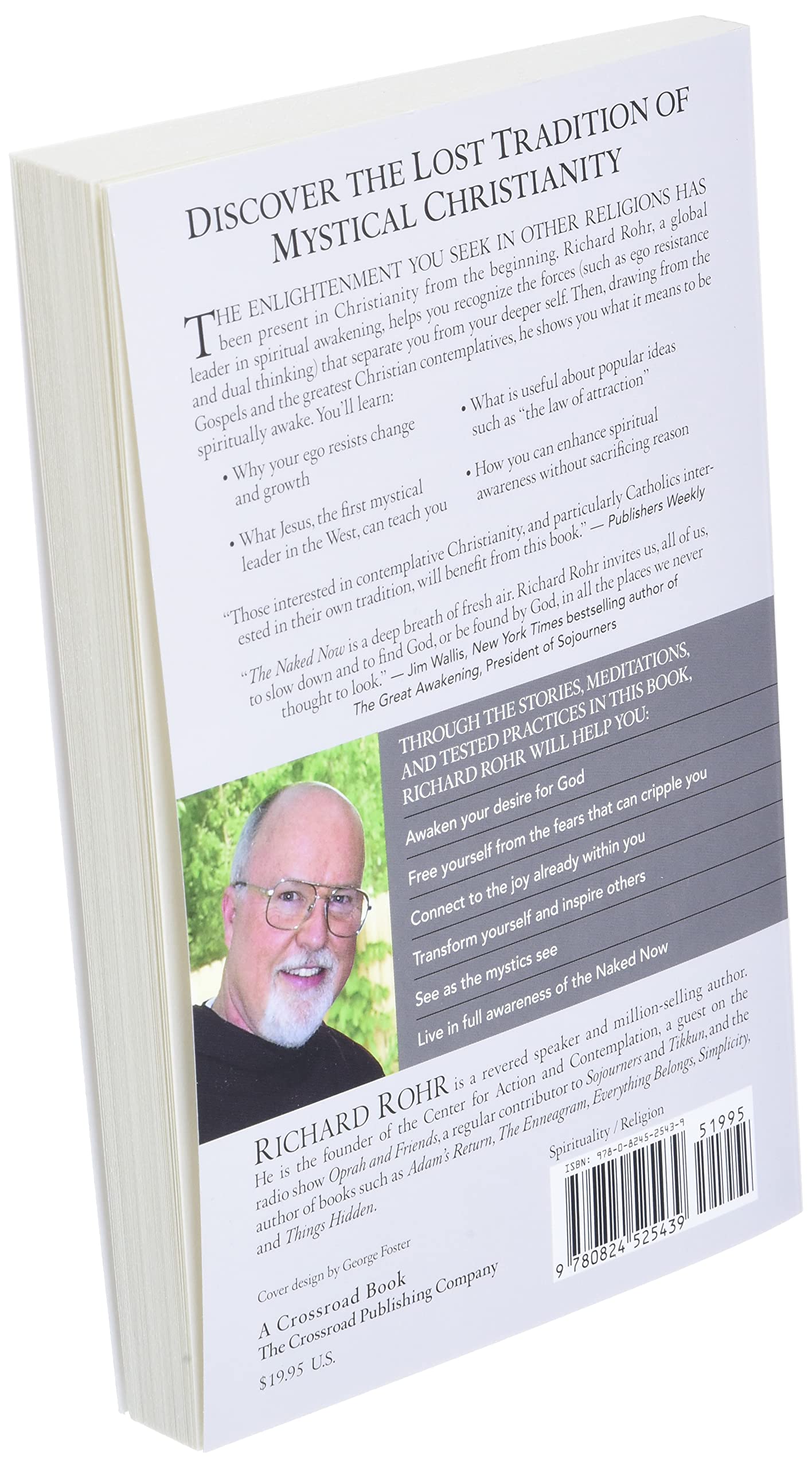 The Naked Now: Learning To See As the Mystics See used book depot