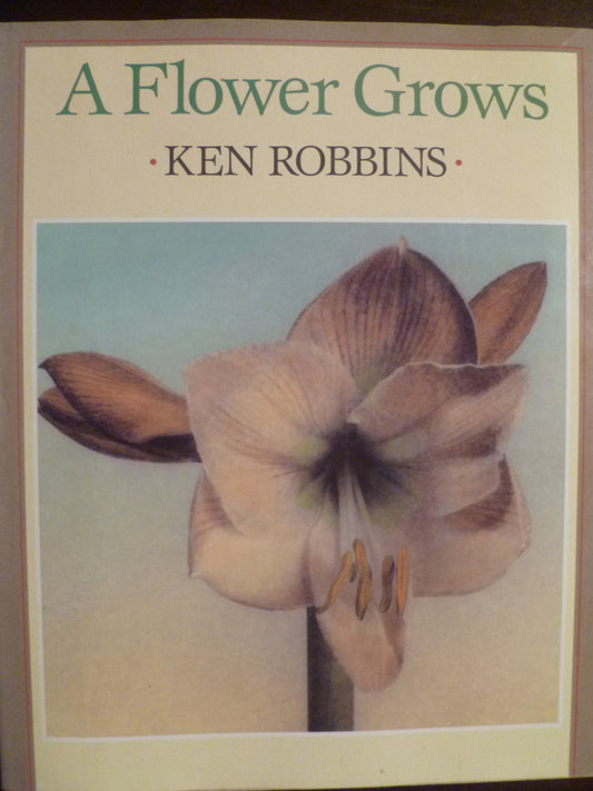 A Flower Grows Robbins, Ken