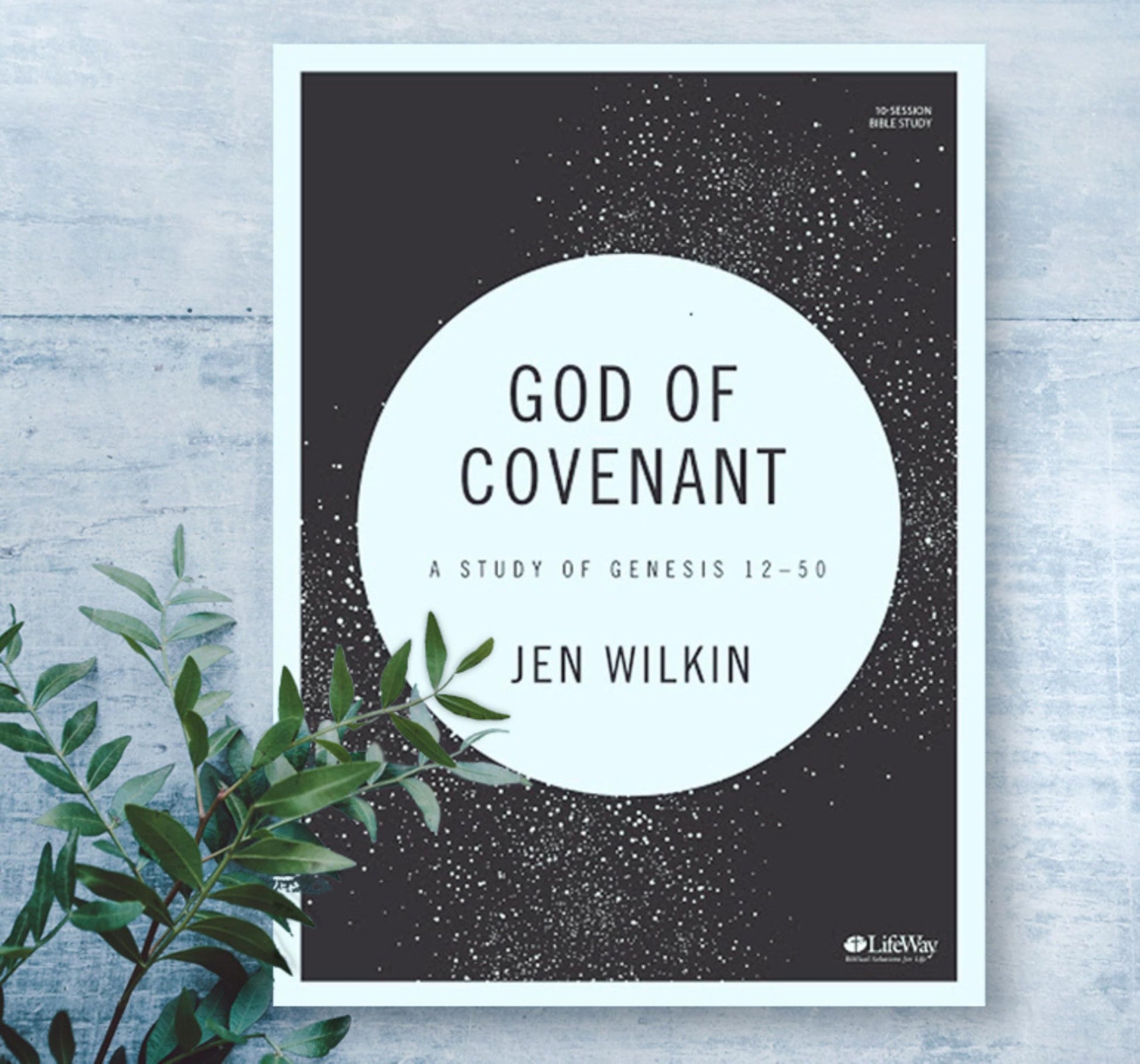 God of Covenant - Bible Study Book: A Study of Genesis 12-50 used book depot