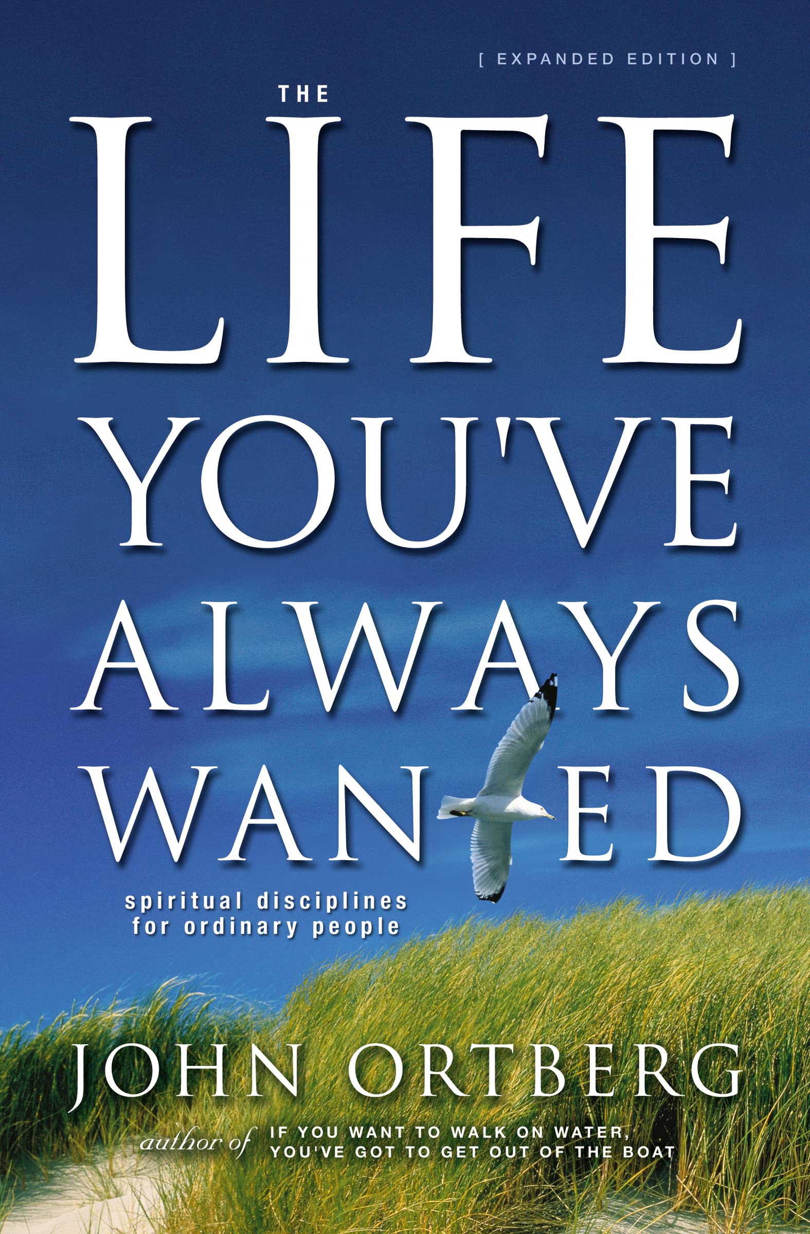 The Life You've Always Wanted: Spiritual Disciplines for Ordinary People (Expanded and Adapted for Small Groups) used book depot
