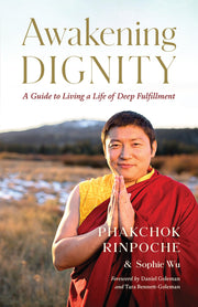 Awakening Dignity: A Guide to Living a Life of Deep Fulfillment used book depot