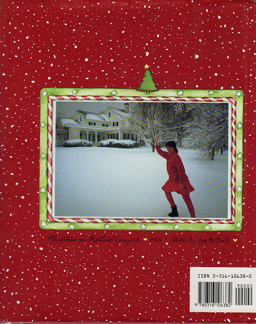 Christmas from the Heart of the Home used book depot