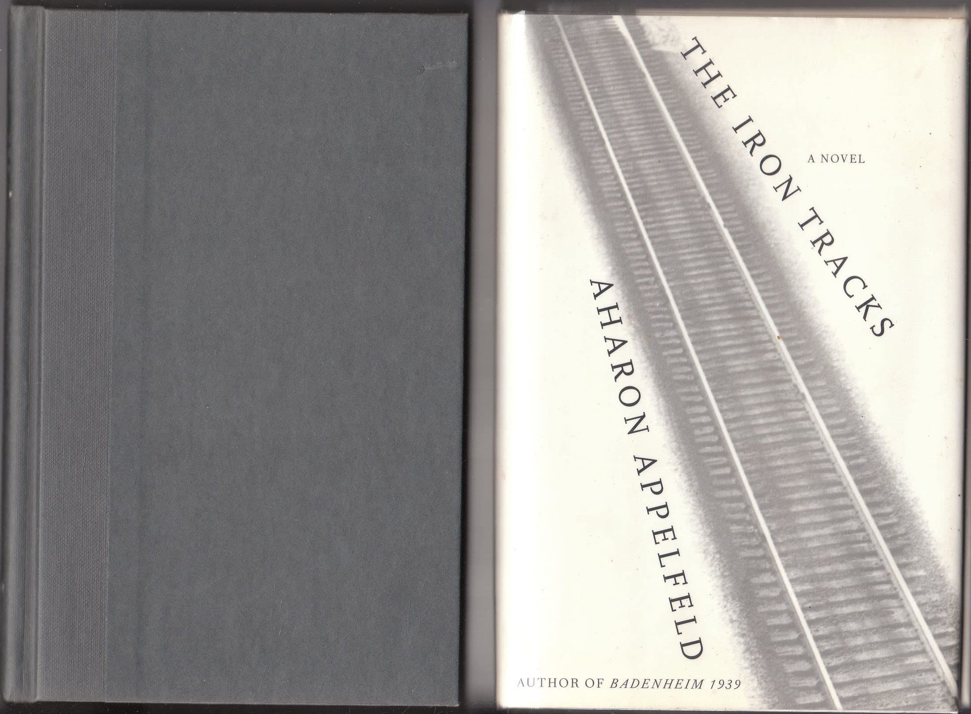 The Iron Tracks: A novel used book depot