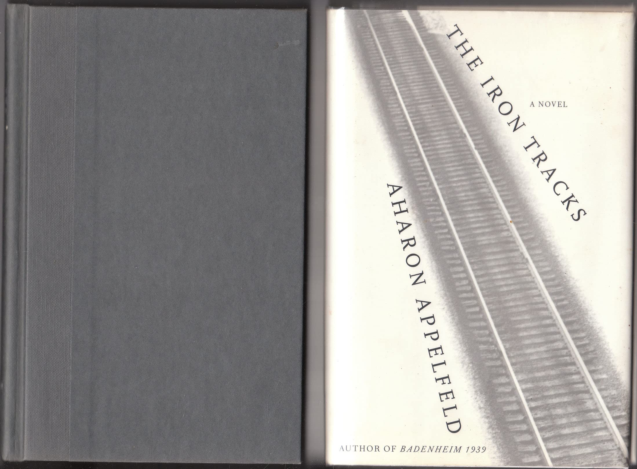 The Iron Tracks: A novel used book depot