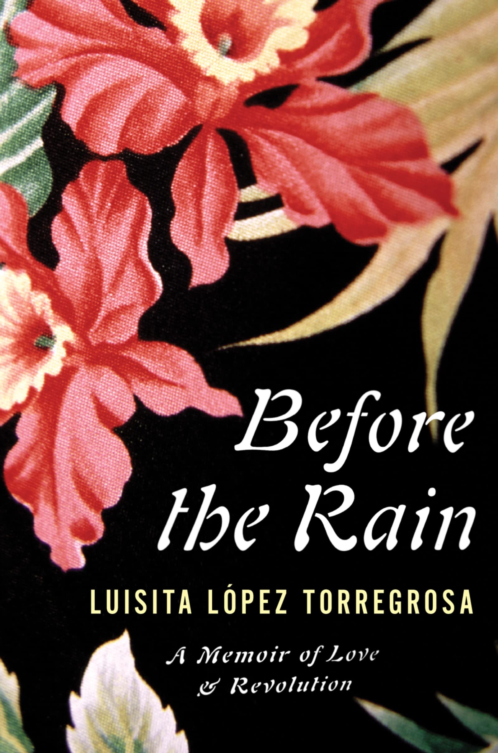 Before The Rain: A Memoir of Love and Revolution used book depot