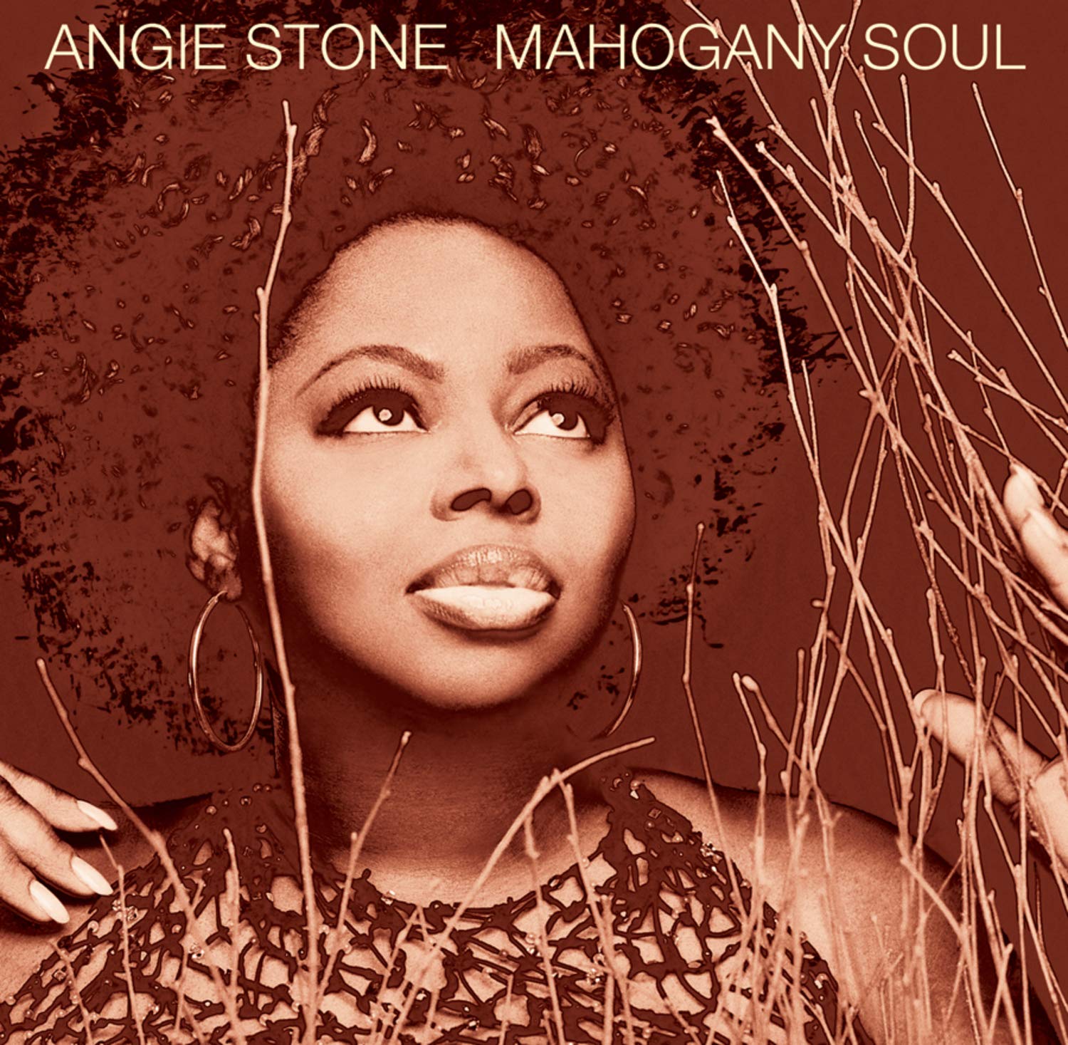 Mahogany Soul used book depot