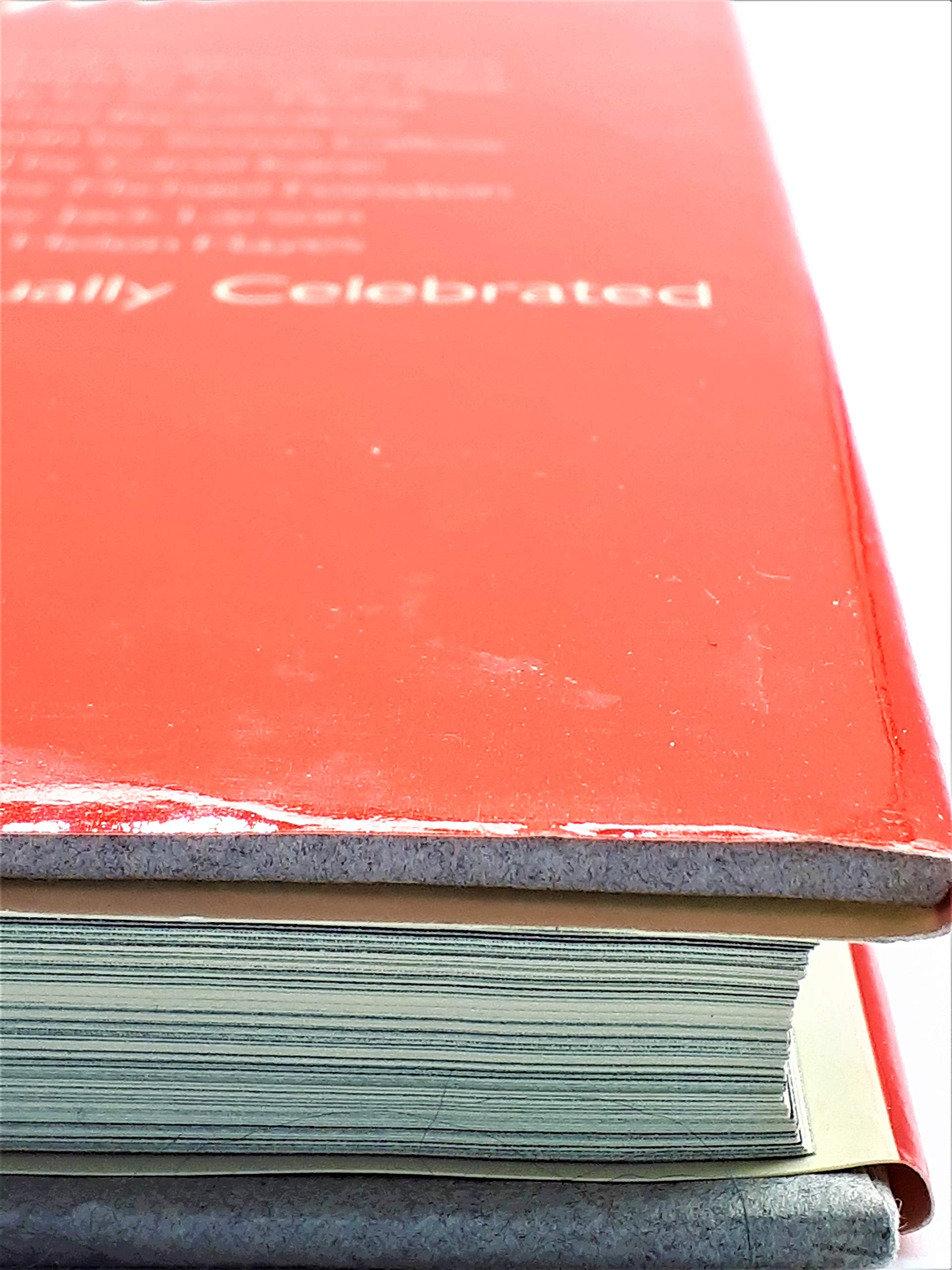 Double Exposure, Take Two: A Gallery of the Celebrated With Commentary by the Equally Celebrated used book depot