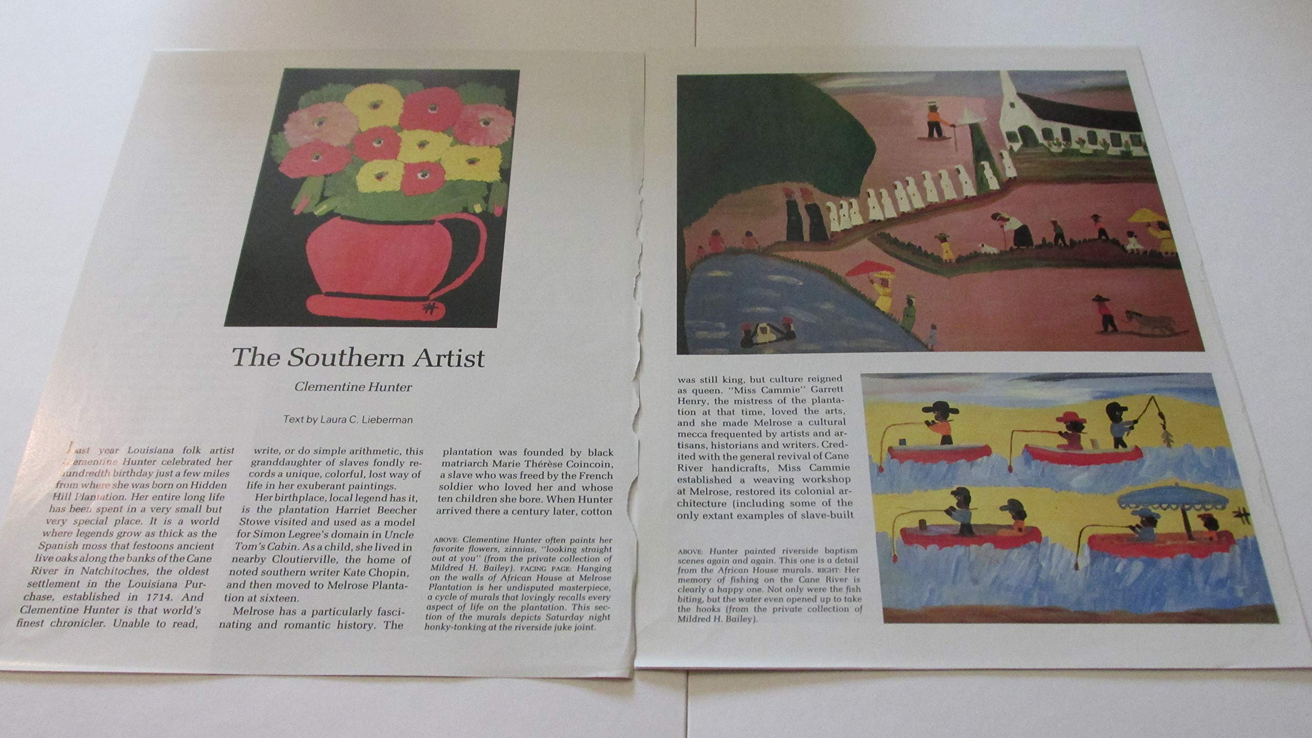 Clementine Hunter: American Folk Artist used book depot
