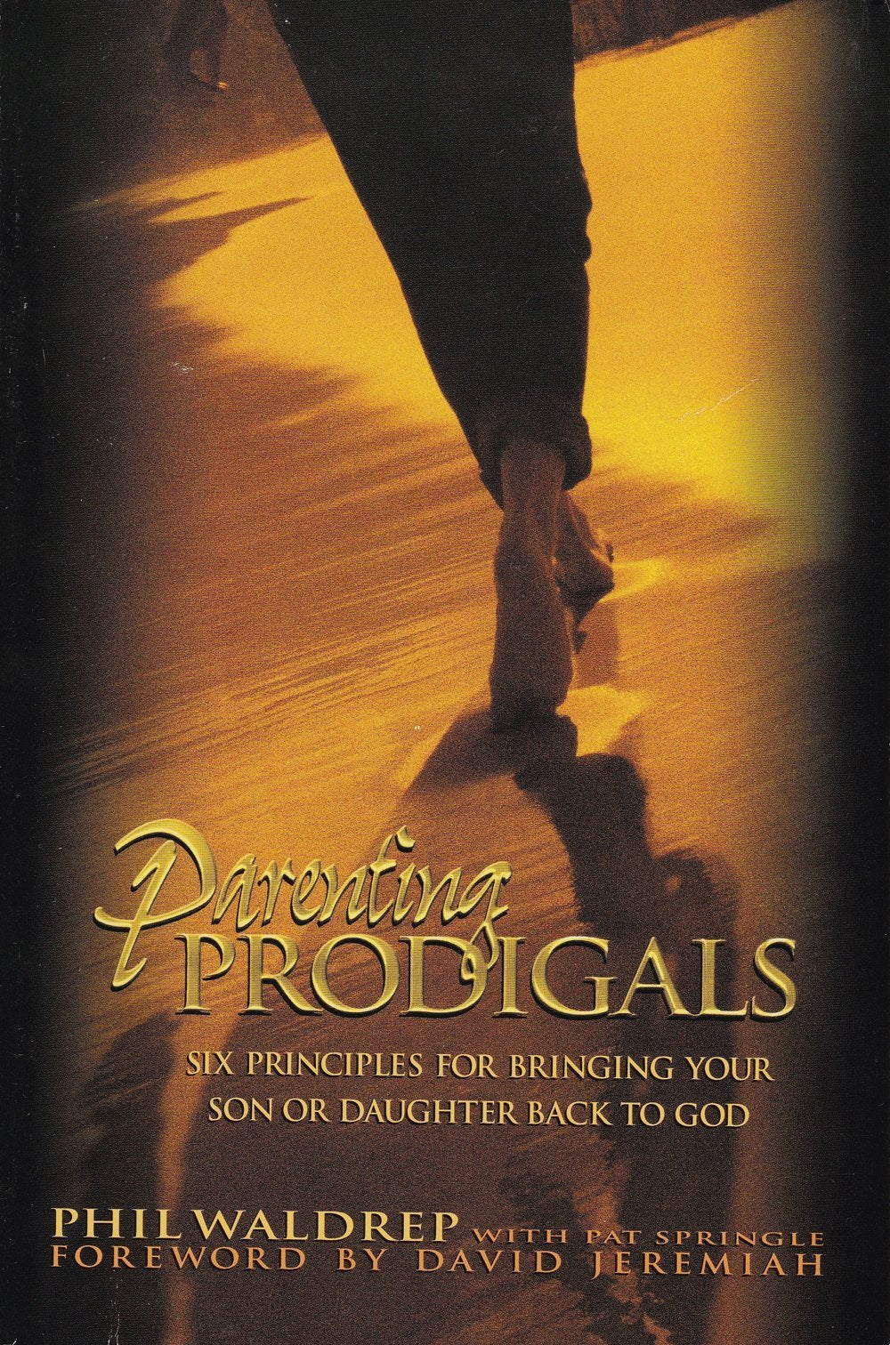 Parenting Prodigals (SIX PRINCIPLES FOR BRINGING YOUR SON OR DAUGHTER BACK TO GOD) used book depot
