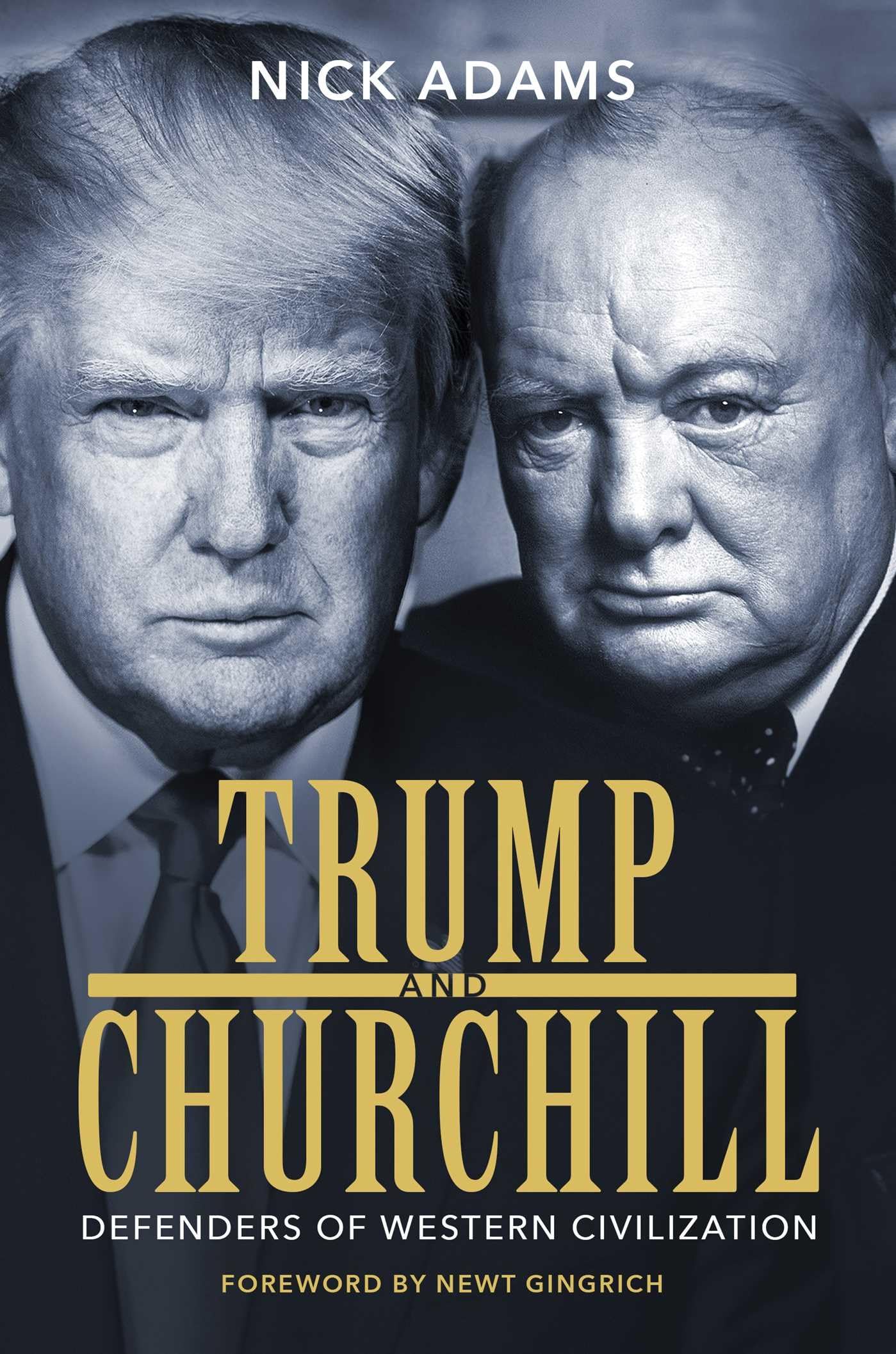 Trump and Churchill: Defenders of Western Civilization used book depot