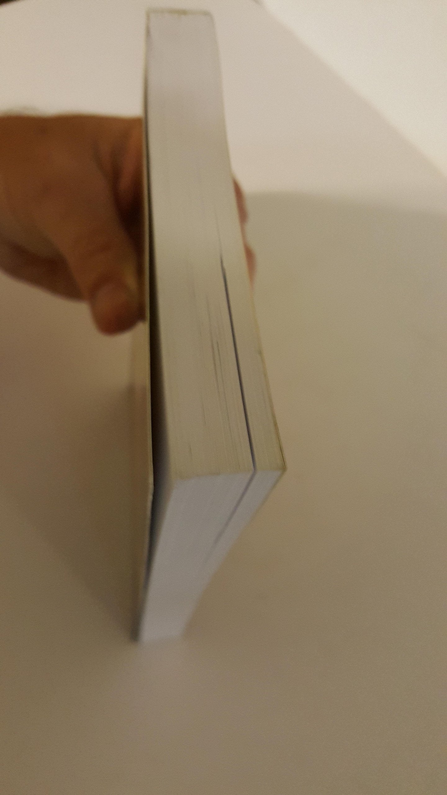 Healing Life's Hurts Through Theophostic Prayer used book depot