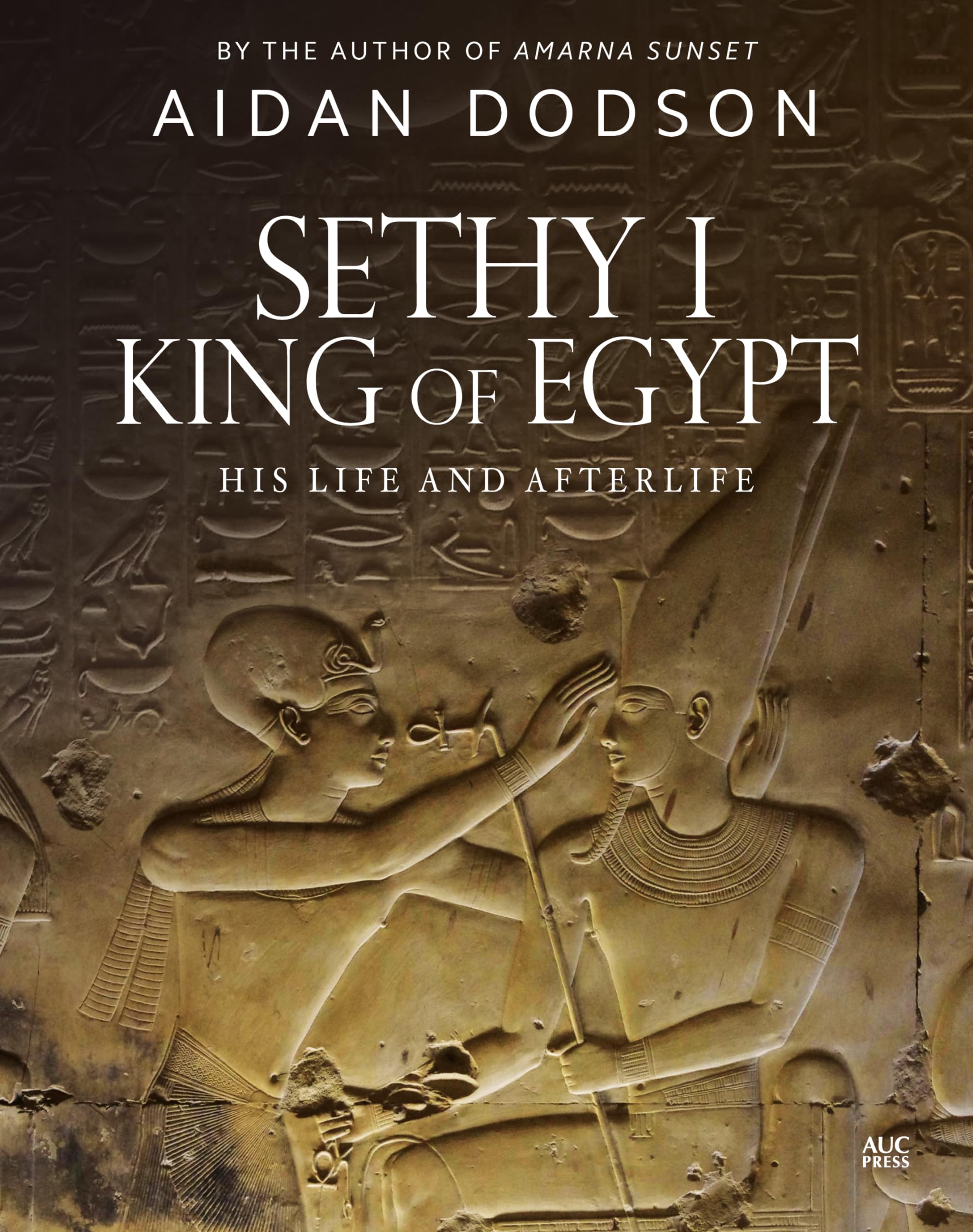 Sethy I, King of Egypt: His Life and Afterlife (Lives and Afterlives) used book depot