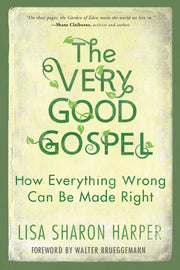 The Very Good Gospel: How Everything Wrong Can Be Made Right used book depot